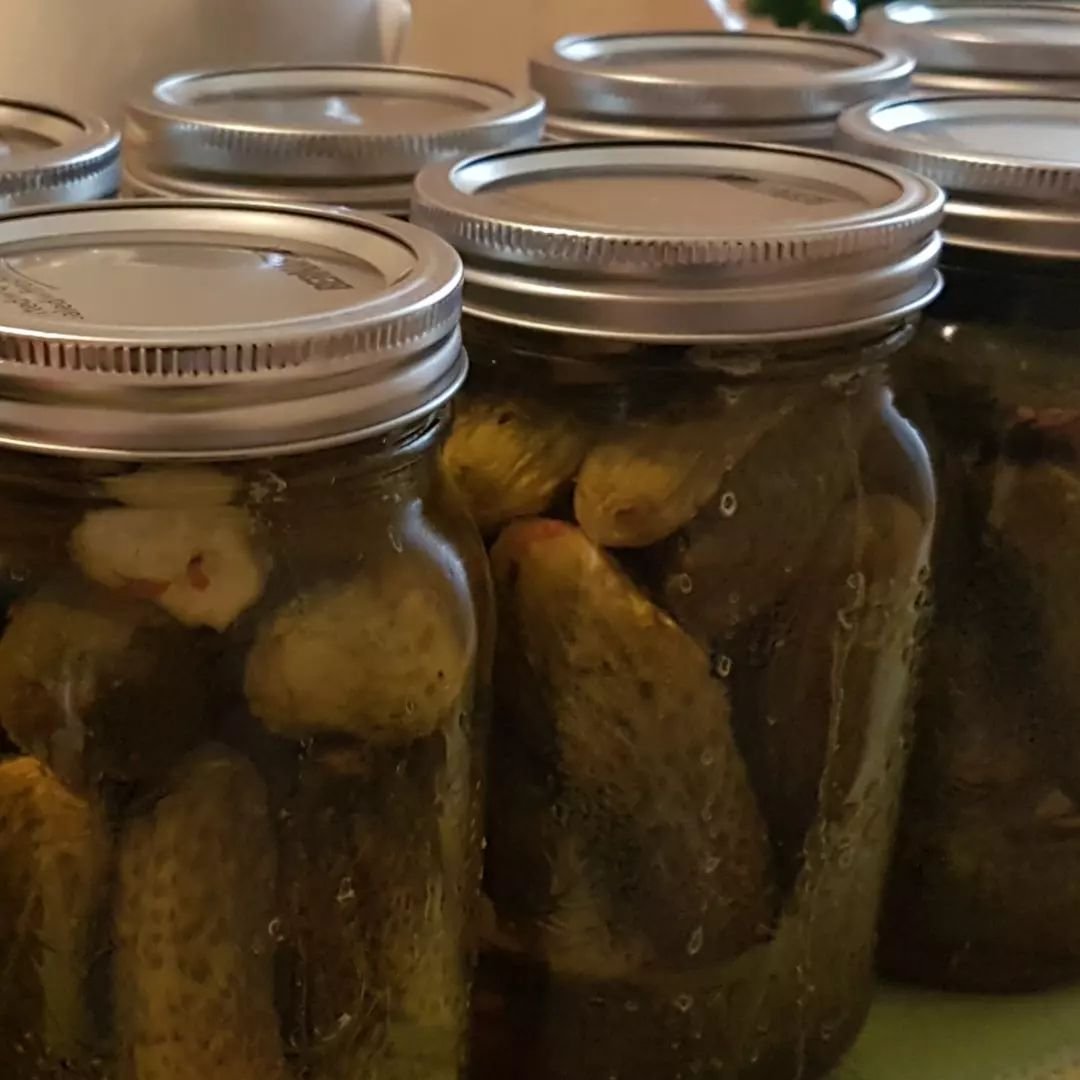 Pickle day.

#dillpickles #cucumber