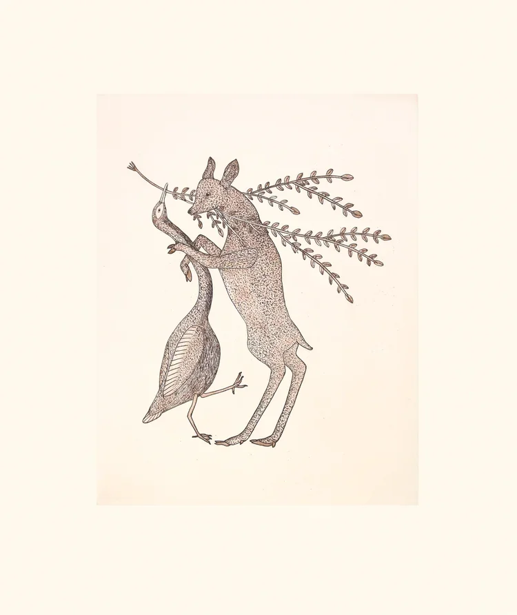 QAVAVAU MANUMIE Spring Companions