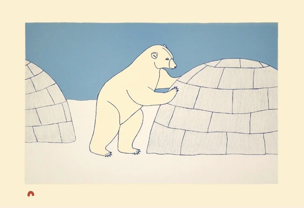 QAVAVAU MANUMIE, Nosy Bear, Lithograph.jpg