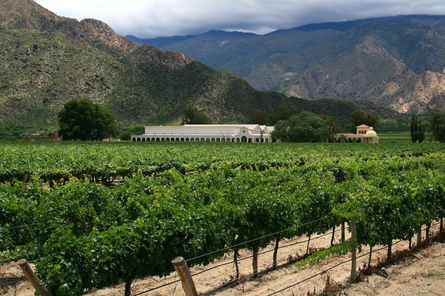 cafayate-vineyard-argentina-custom-travel.jpg