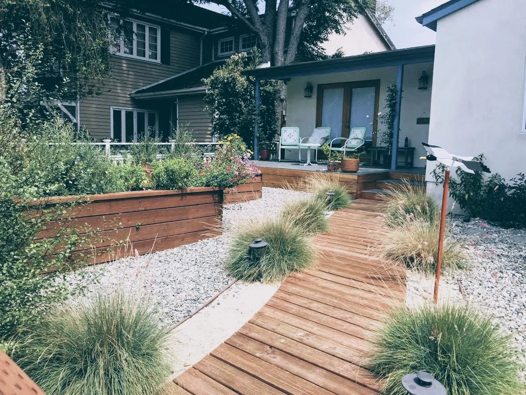 IMG_0953 (1) (1).JPG