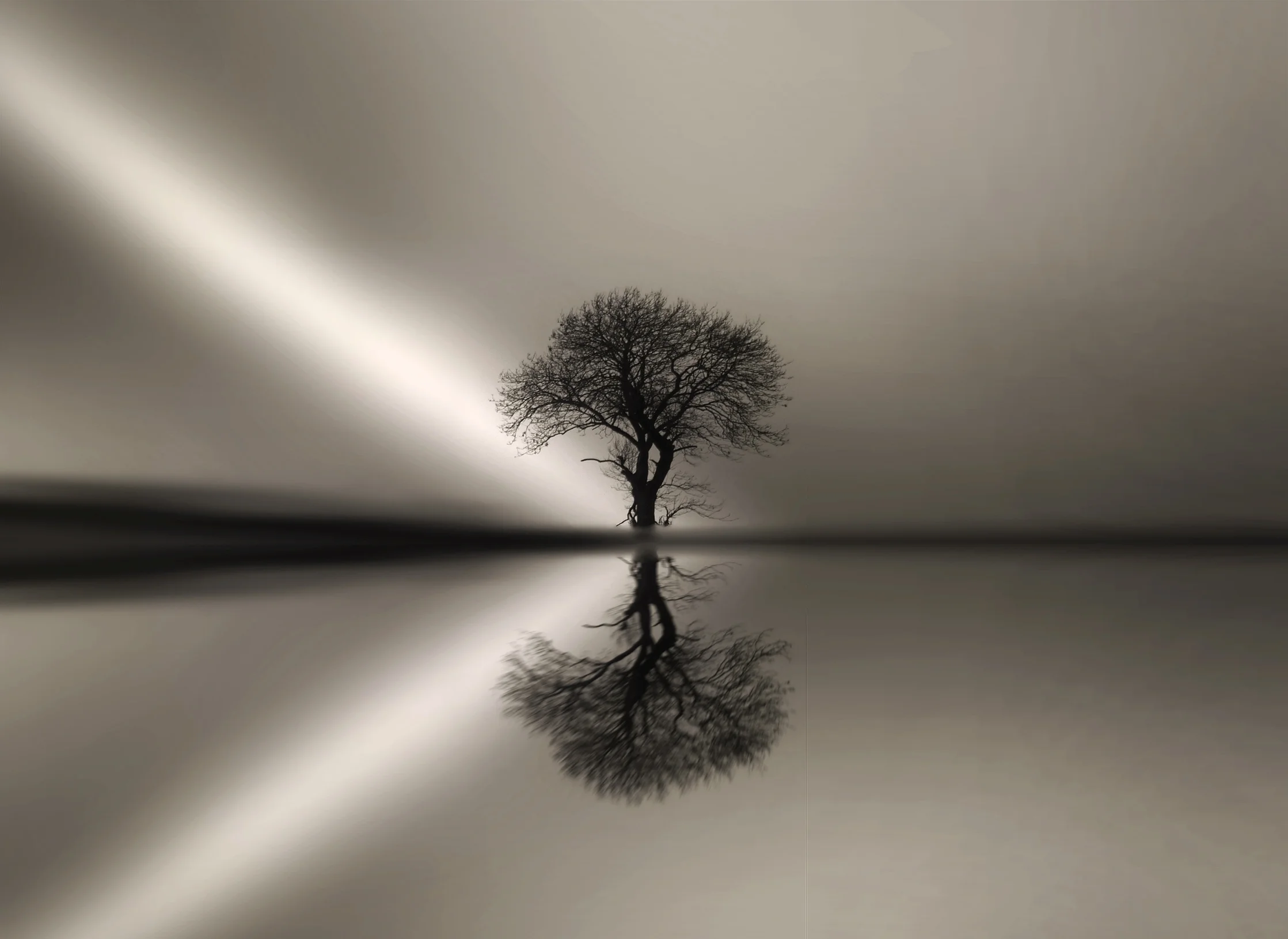 hometoptree2.jpg