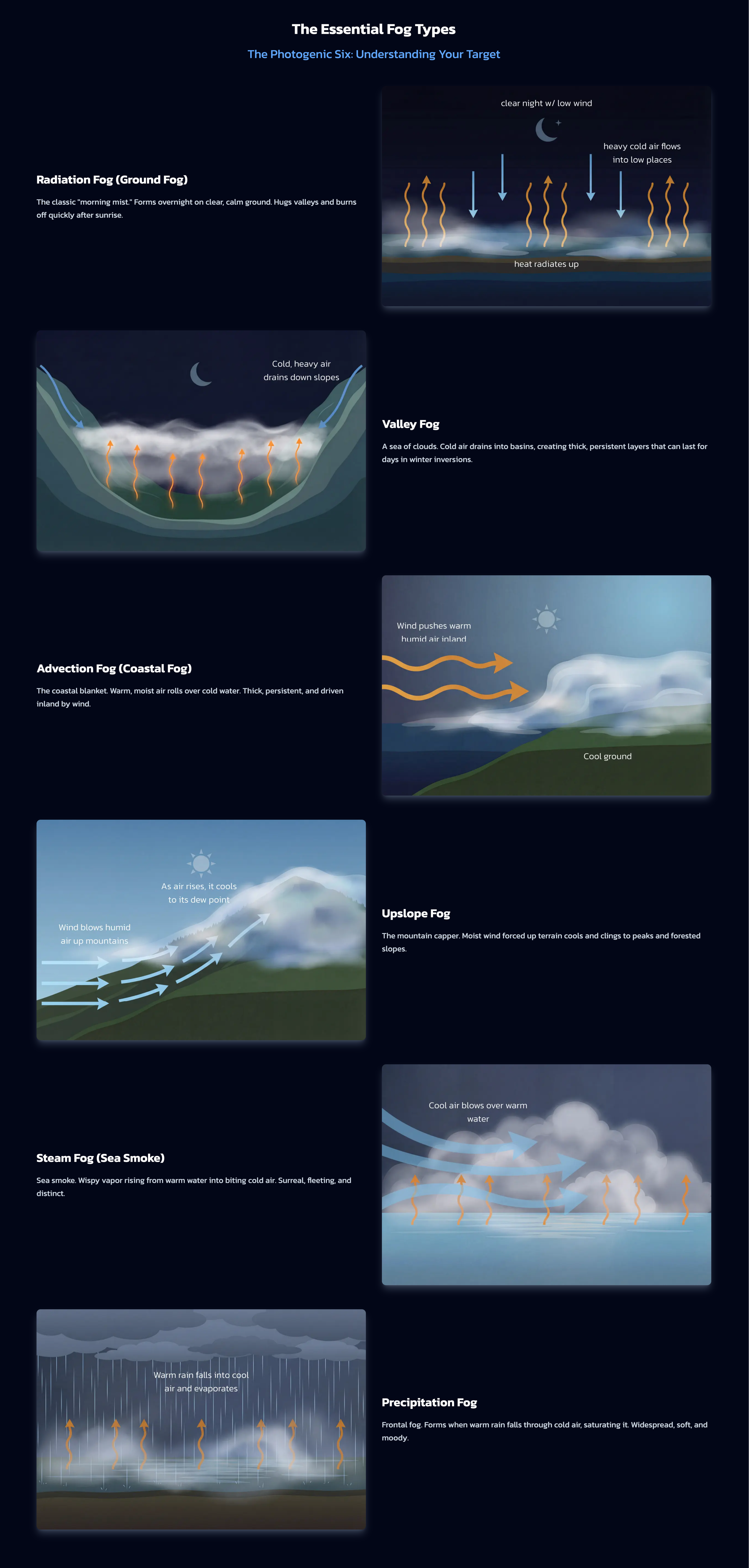 essential fog types custom.png