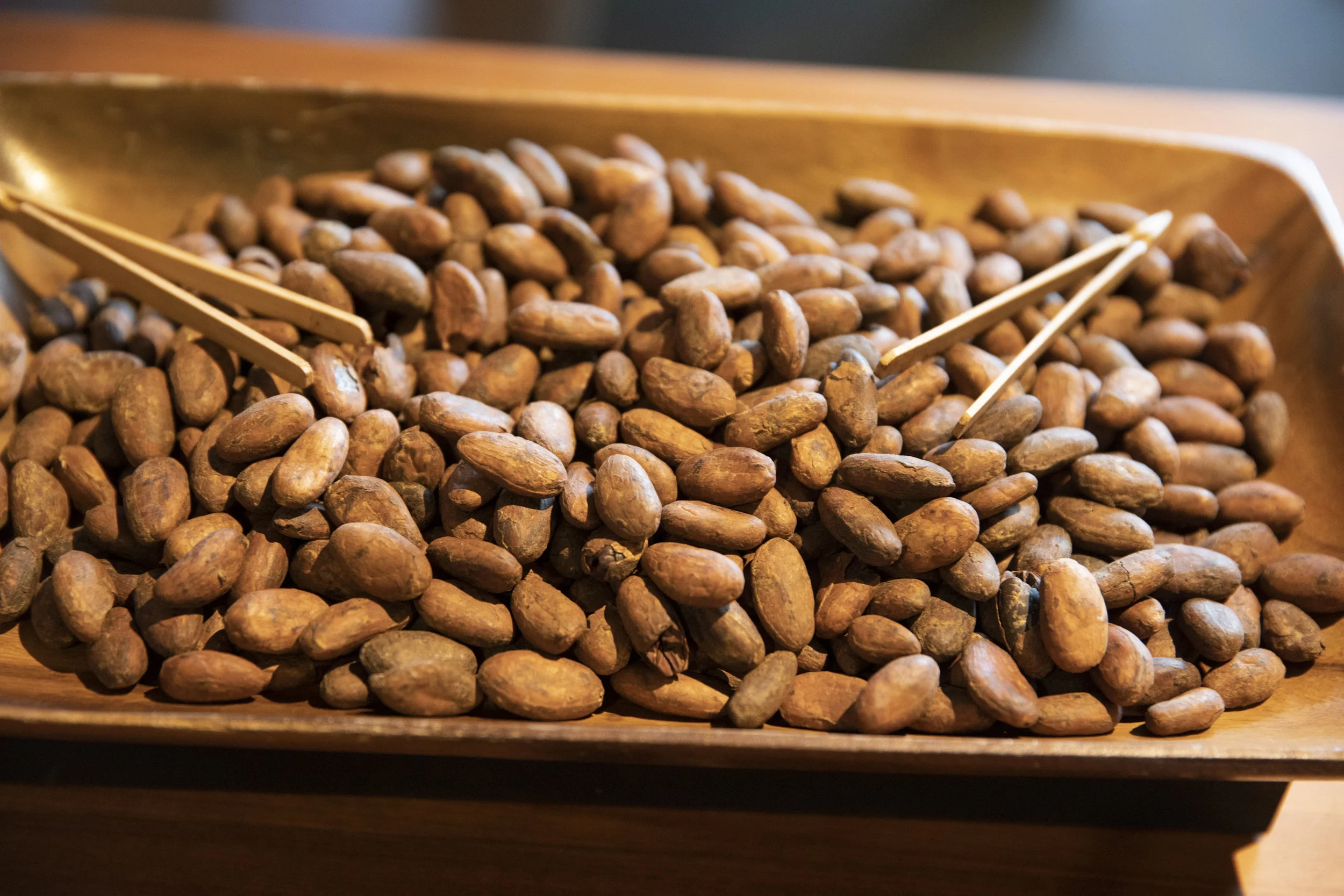 Partner News: Dandelion Chocolate