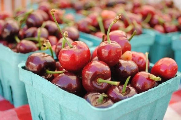 Partner Love: Ferry Building