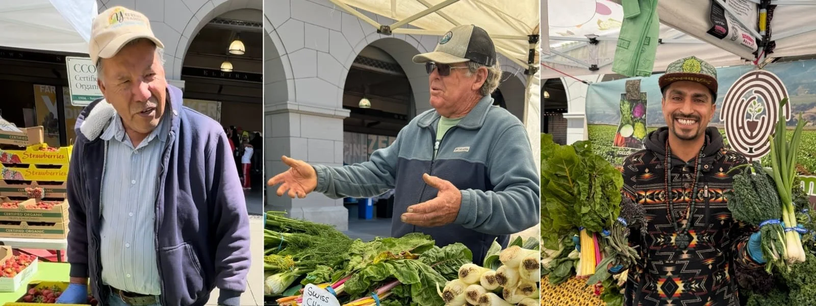 4 Bay Area Farms To Buy Your Produce From