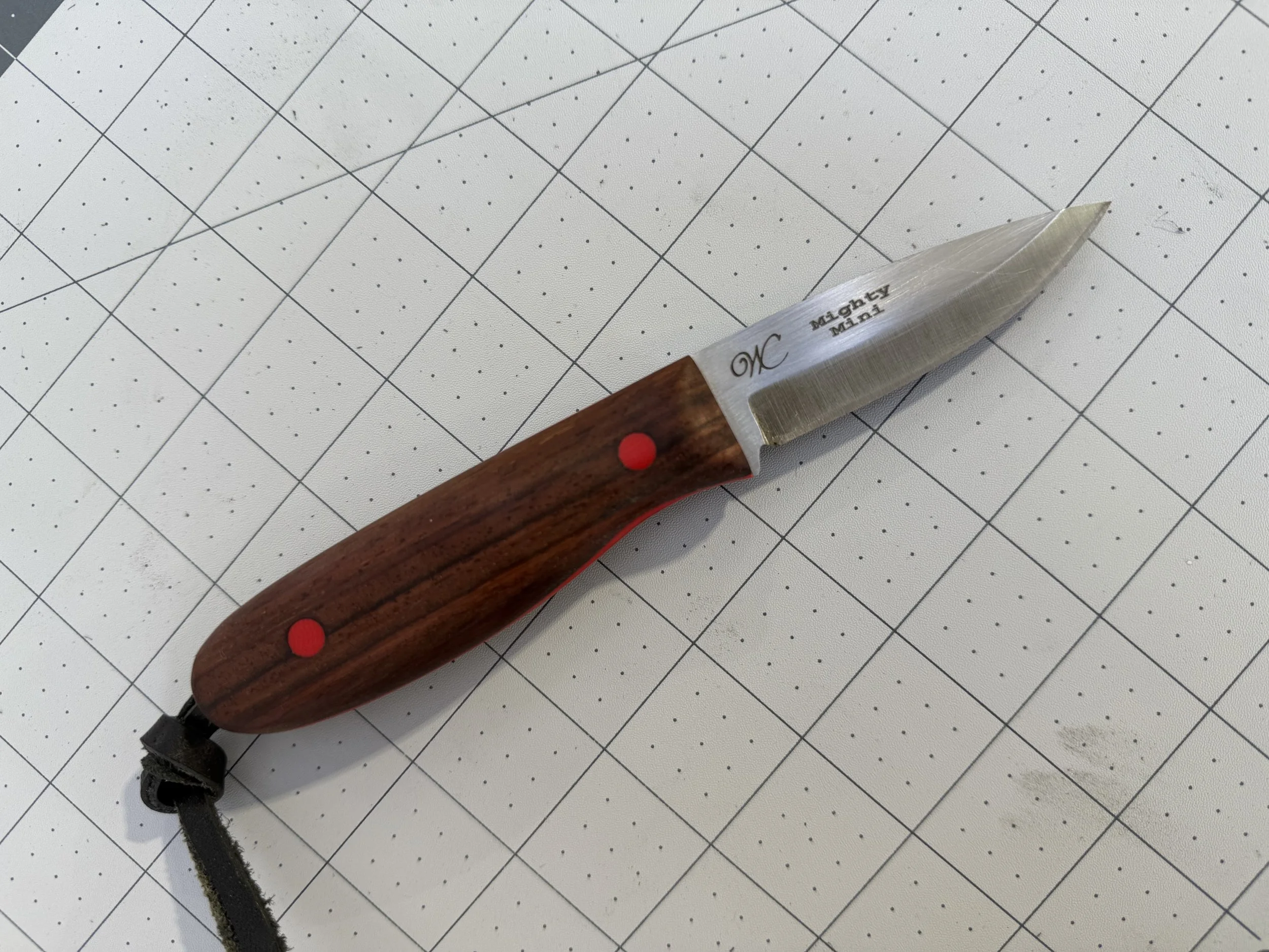 IMG_3060.jpeg (Copy)