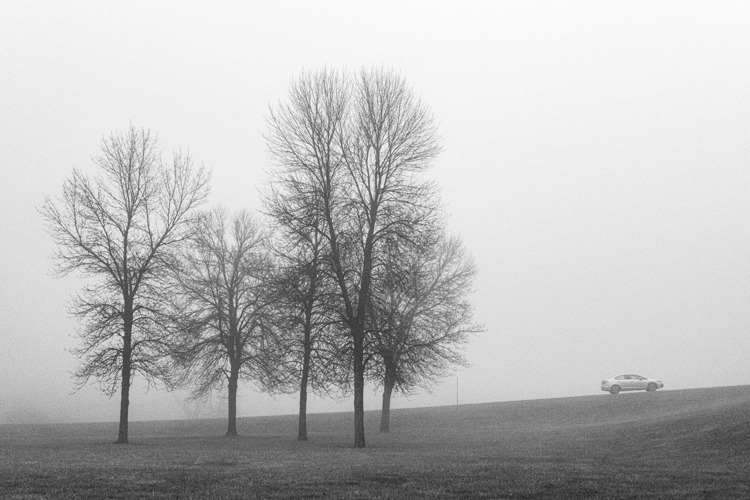 Foggy10.jpg