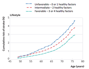 Risk of stroke for those with an unfavorable, intermediate, or favorable lifestyle.