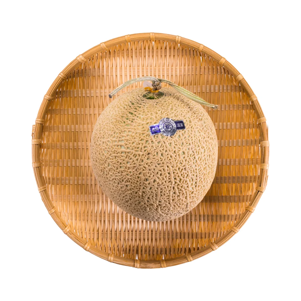 Japanese Earl's Melon.jpg