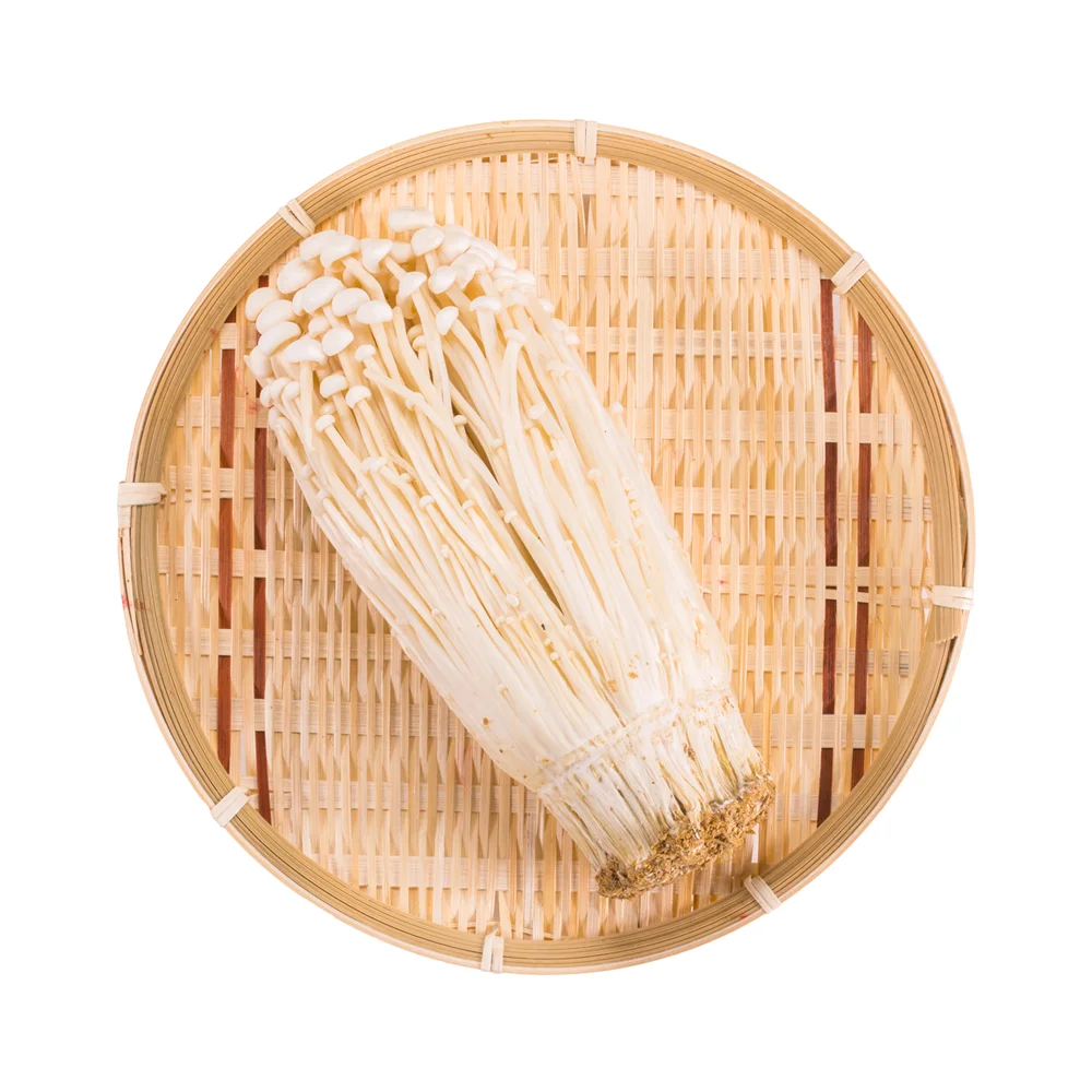 Japanese Enoki Dake.jpg