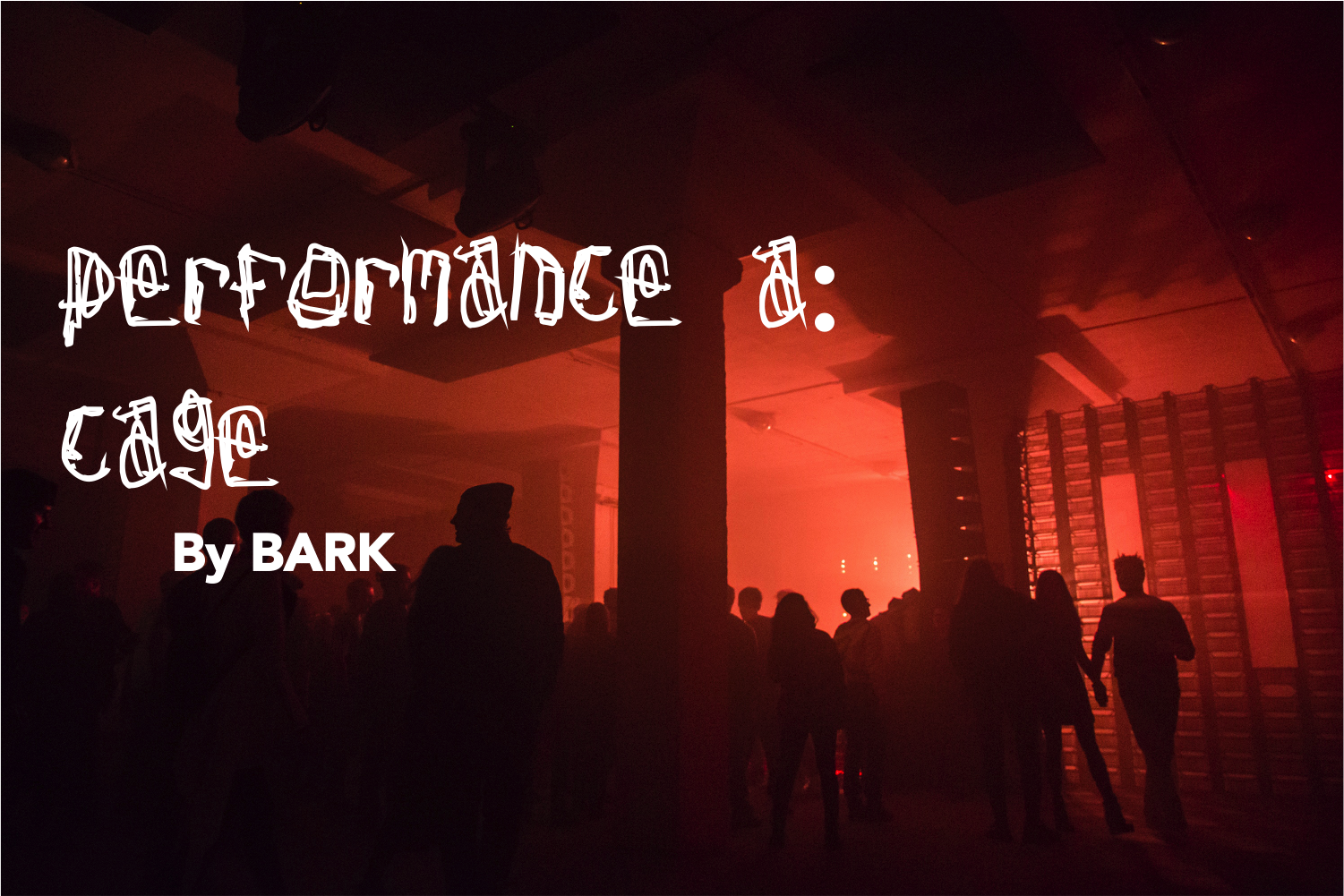 Performance A front image.png