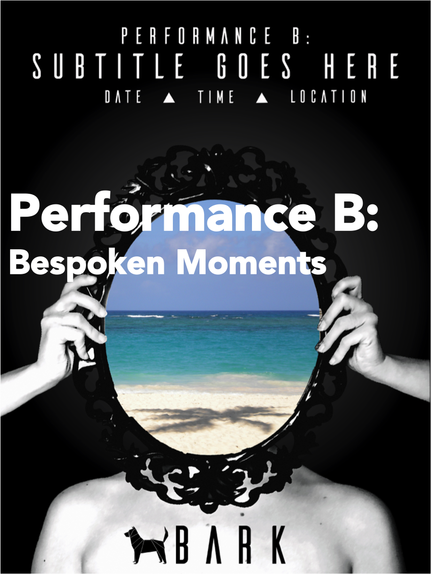 Performance B front image.png