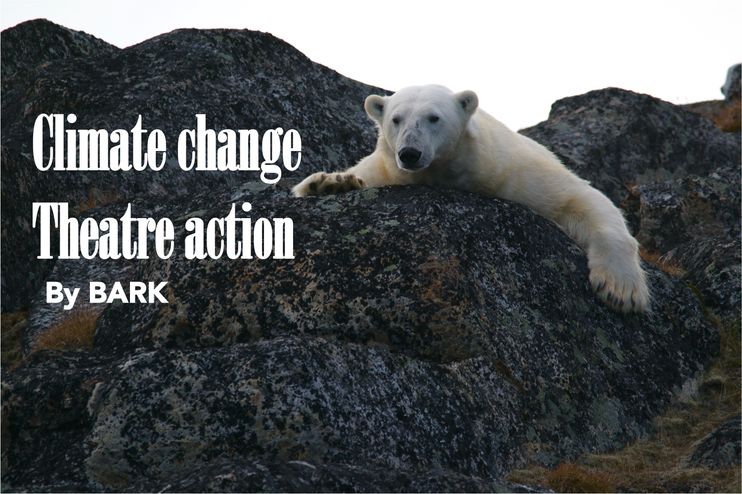 Climate change theatre action front image.png