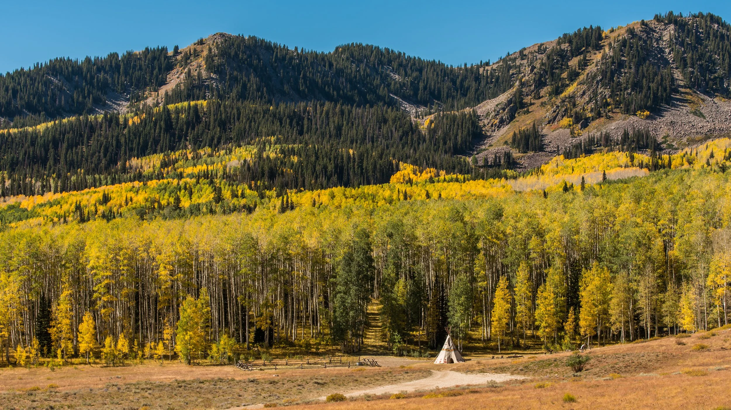Fall.jpg