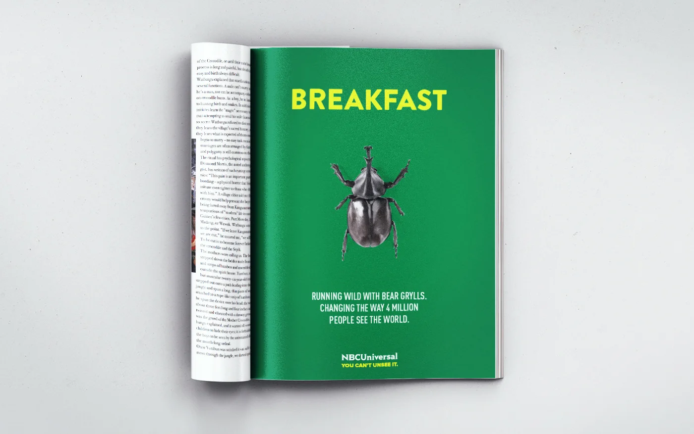 Bug Breakfast.jpg