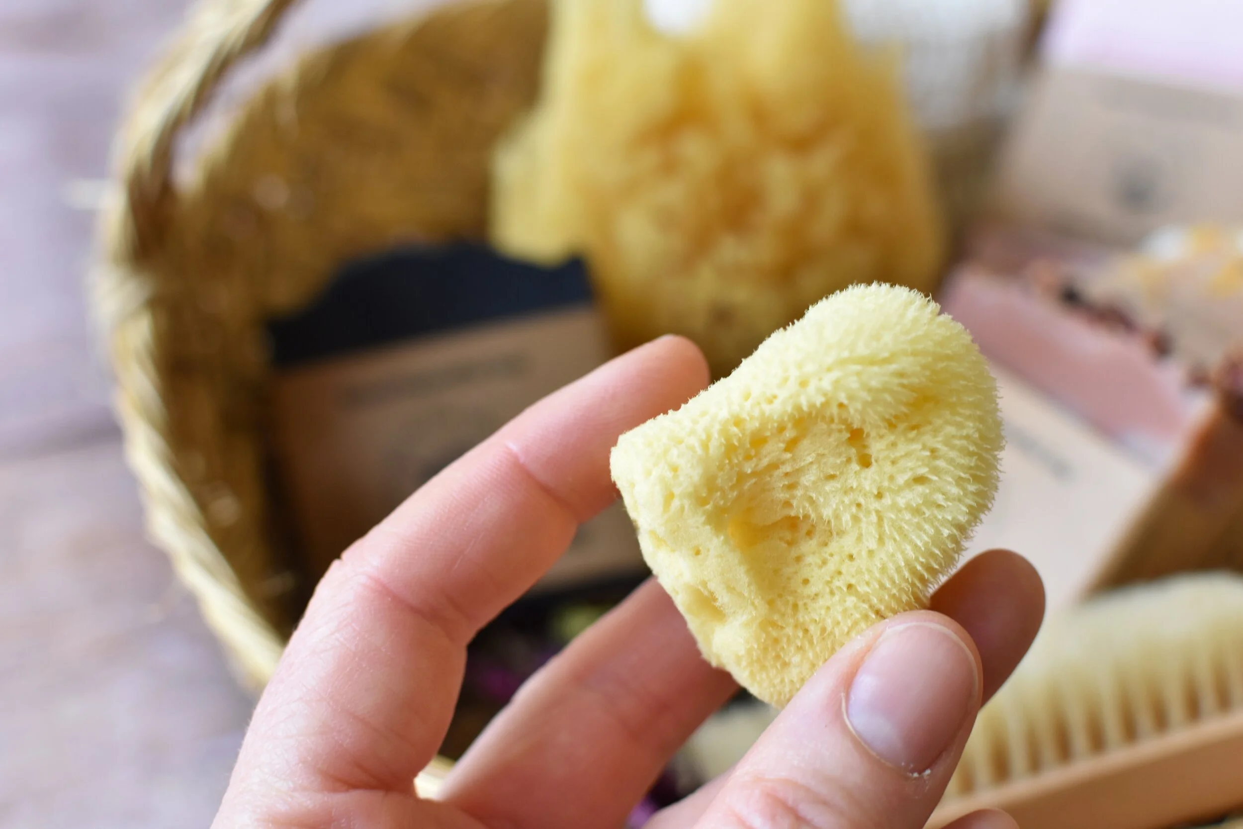 natural sea sponge for face
