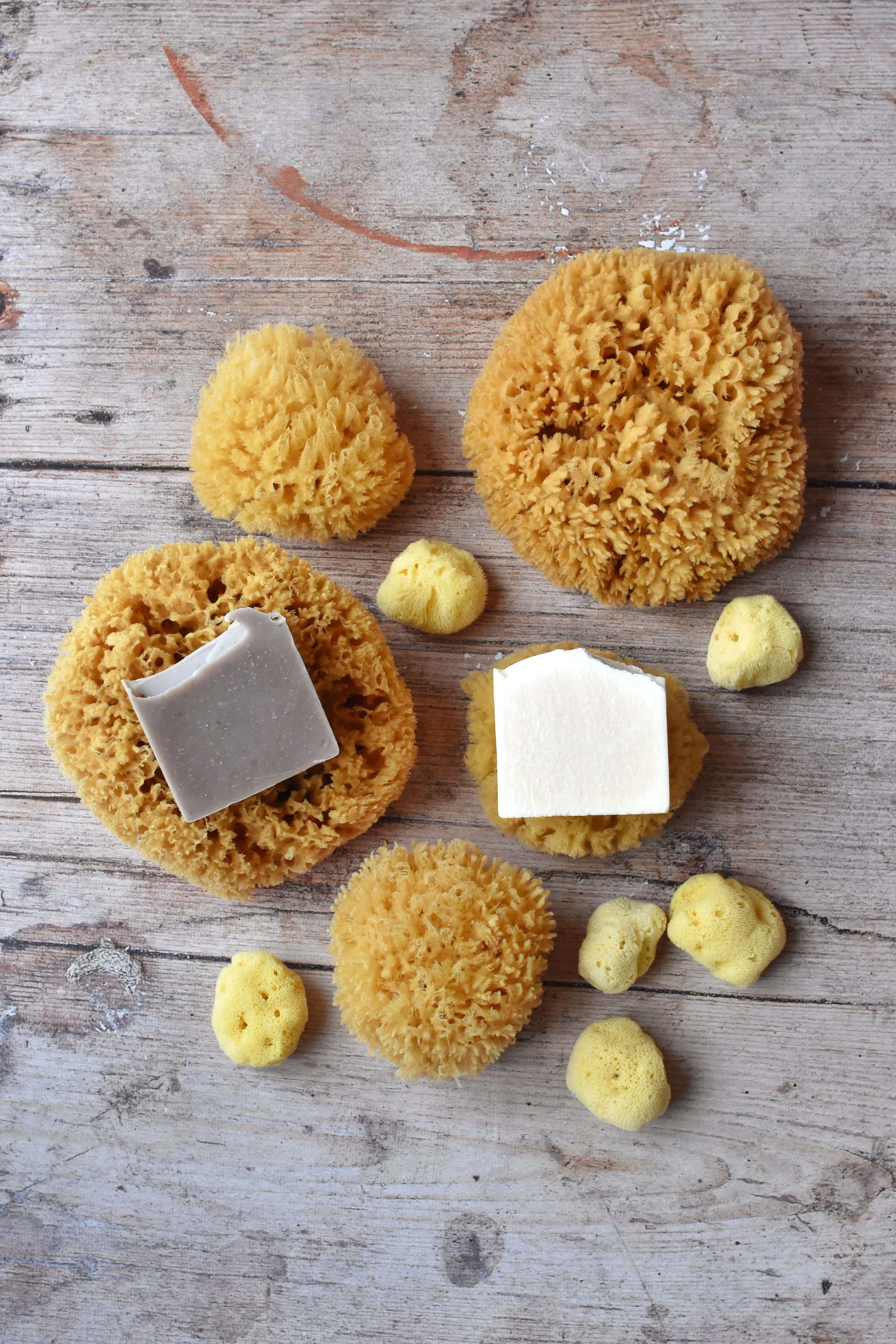 collection of natural sea sponges and natural soap