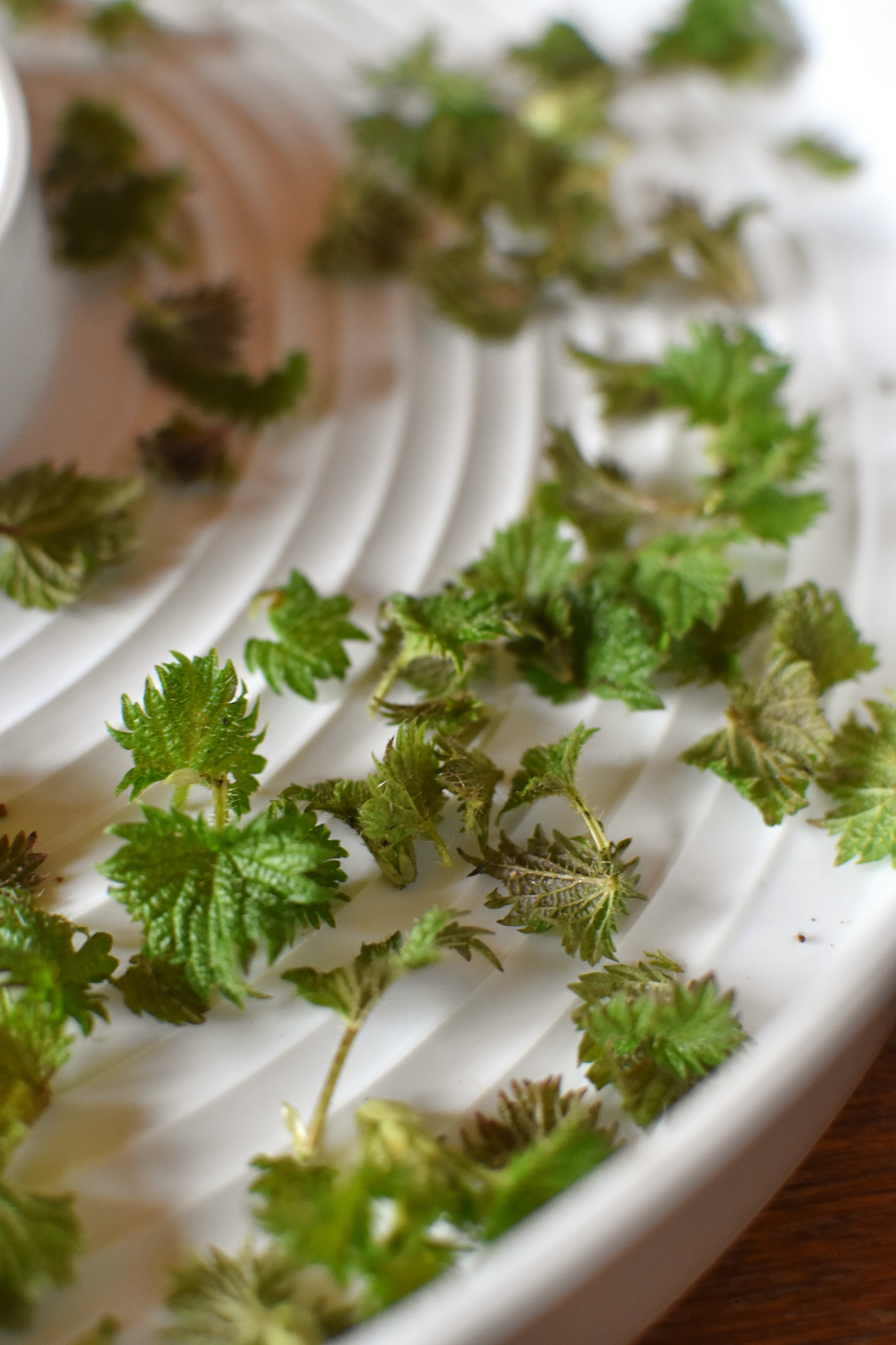 nettle, an ingredient in Green Roots Hair and Scalp Oil from Naturally at the Wrens Nest