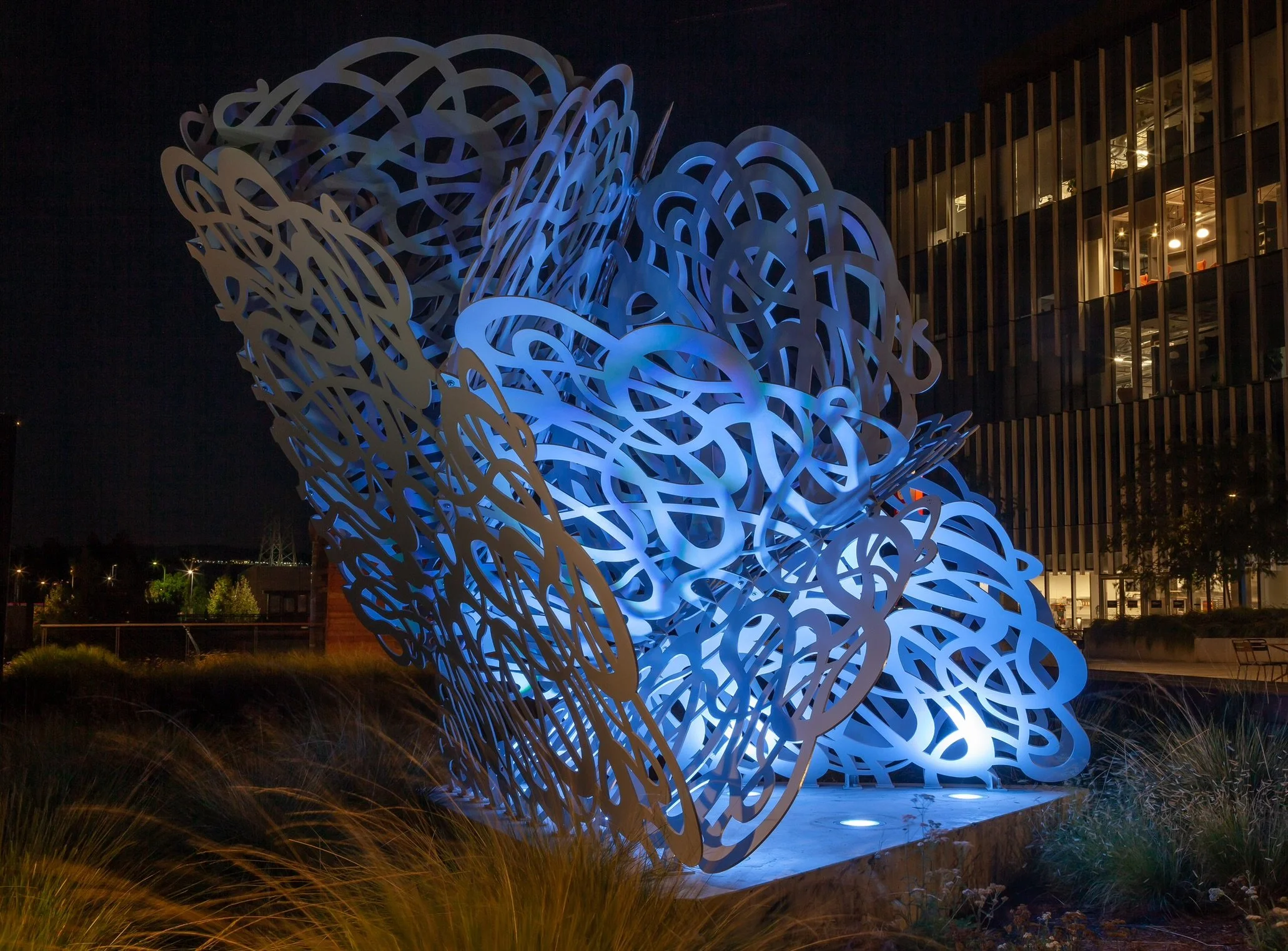 IMG_2431 copy low.JPEG