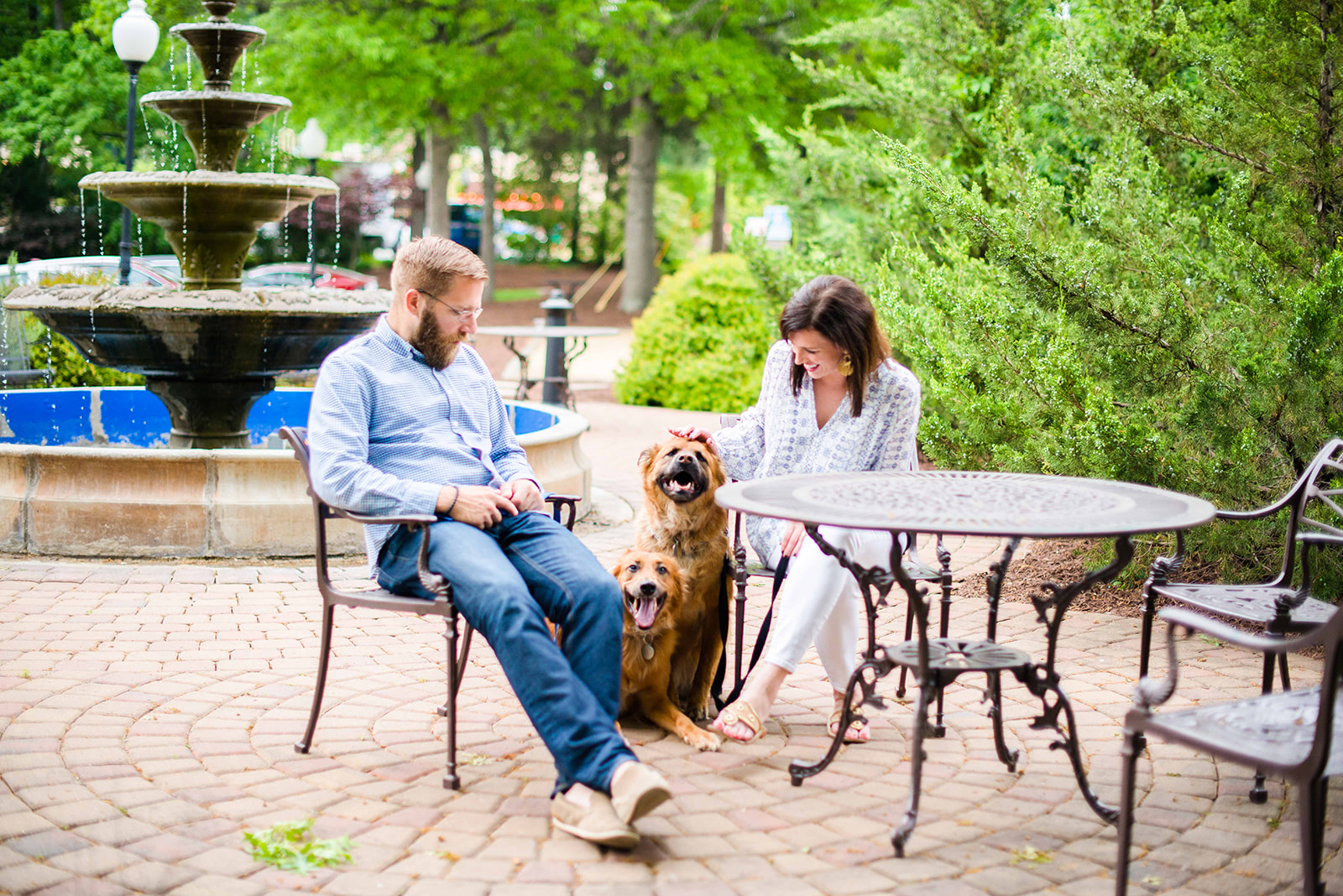 photos with dogs courtesy of Meghan from I'm Fixin' to blog.