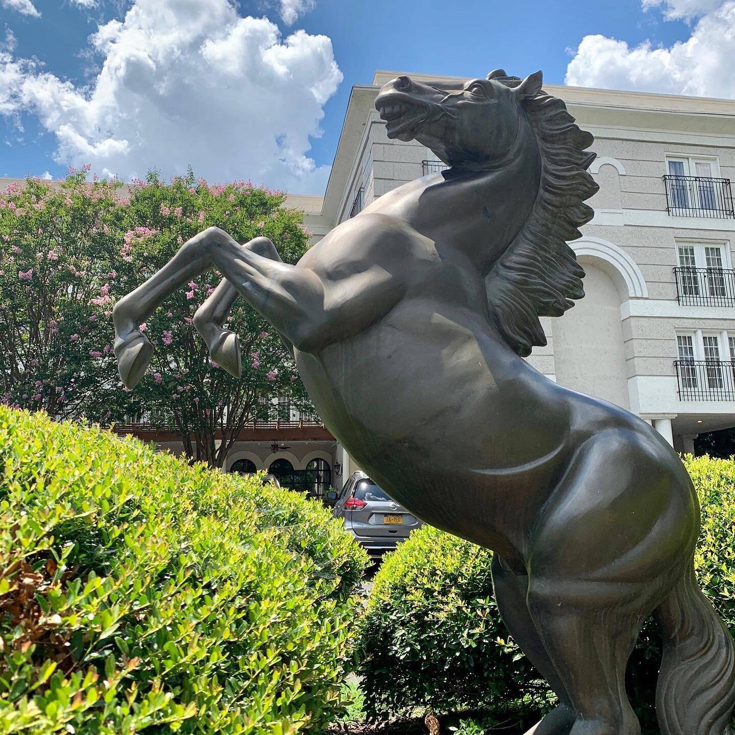 From the Il Palio inspired statue to the beautiful Italian marble lobby, we strive to paint a picture of Italian quality and craftsmanship. 

#thesienahotel #visitnc #visitchapelhill #staycation