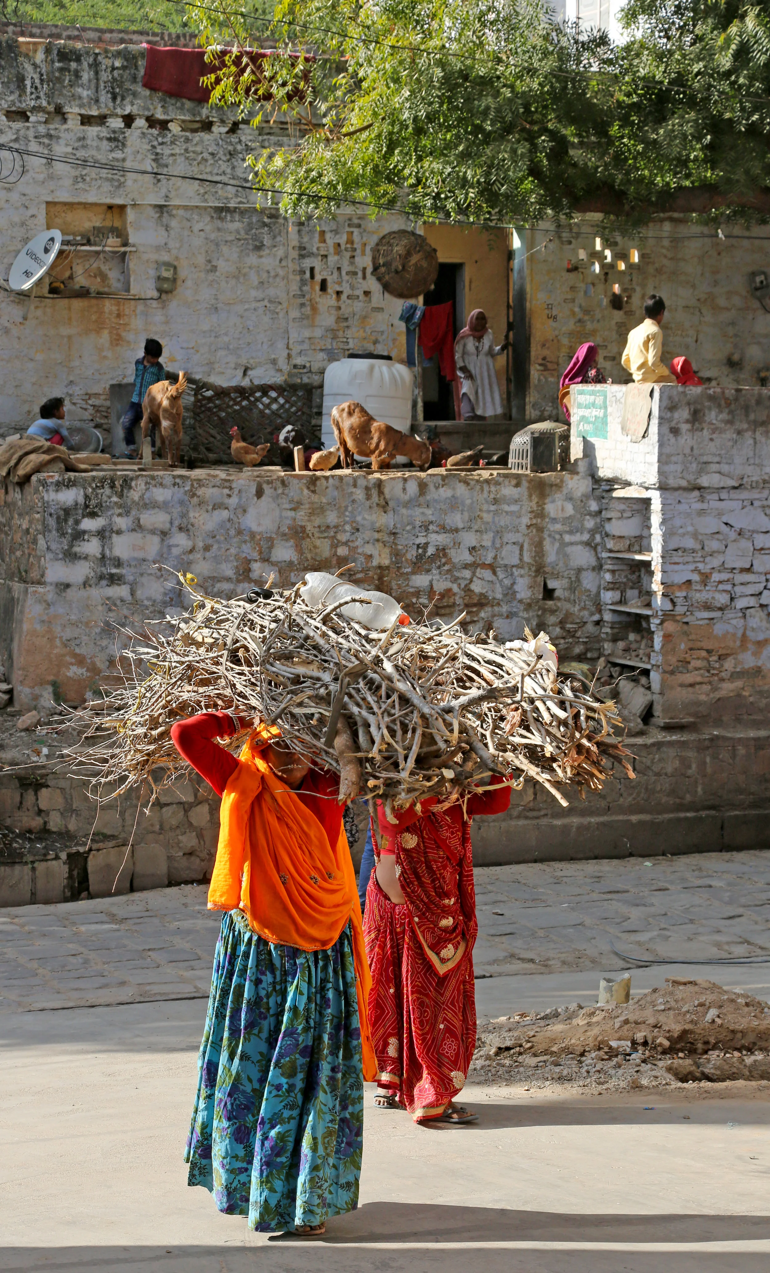 Rajasthan_0278 copy.JPG