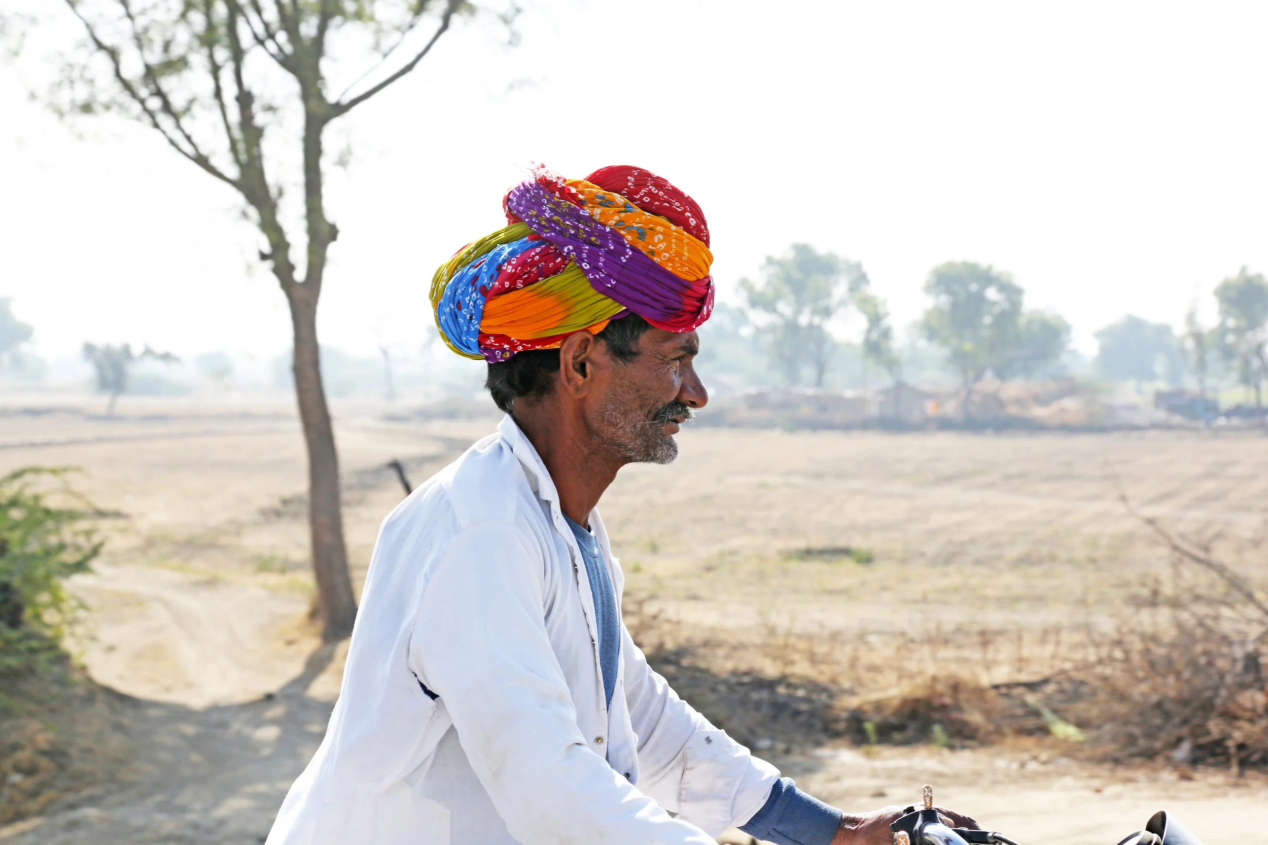 Rajasthan_0737.JPG