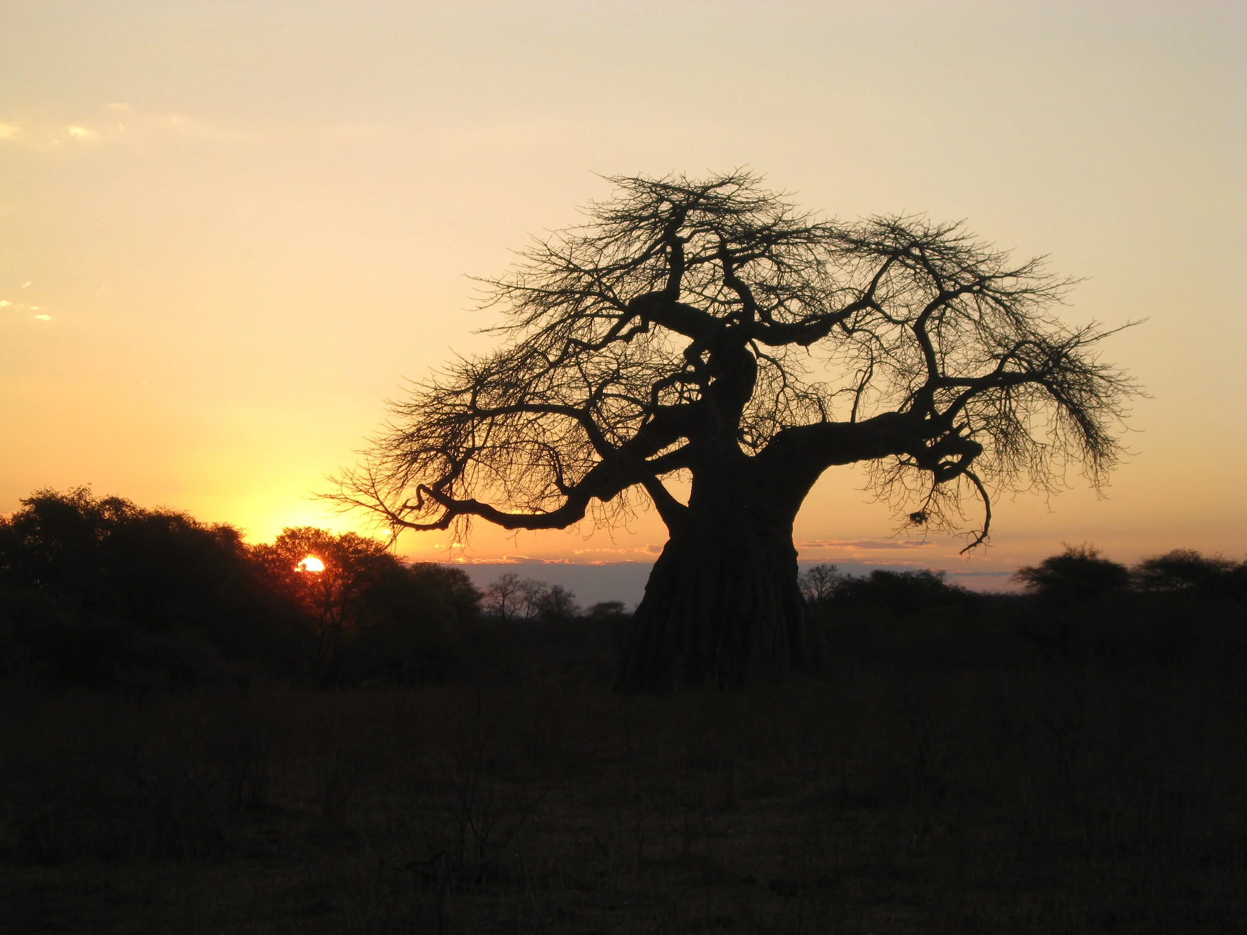 Tanzania (356).JPG