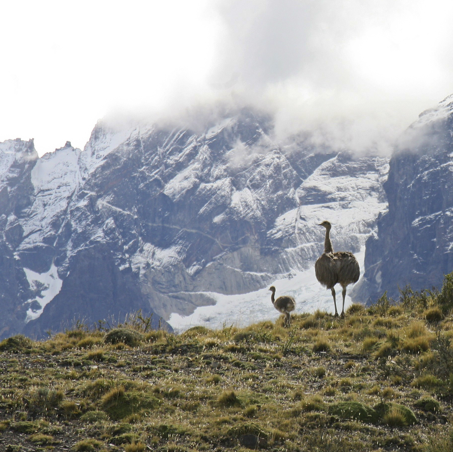 Explora 2 110 copy.JPG