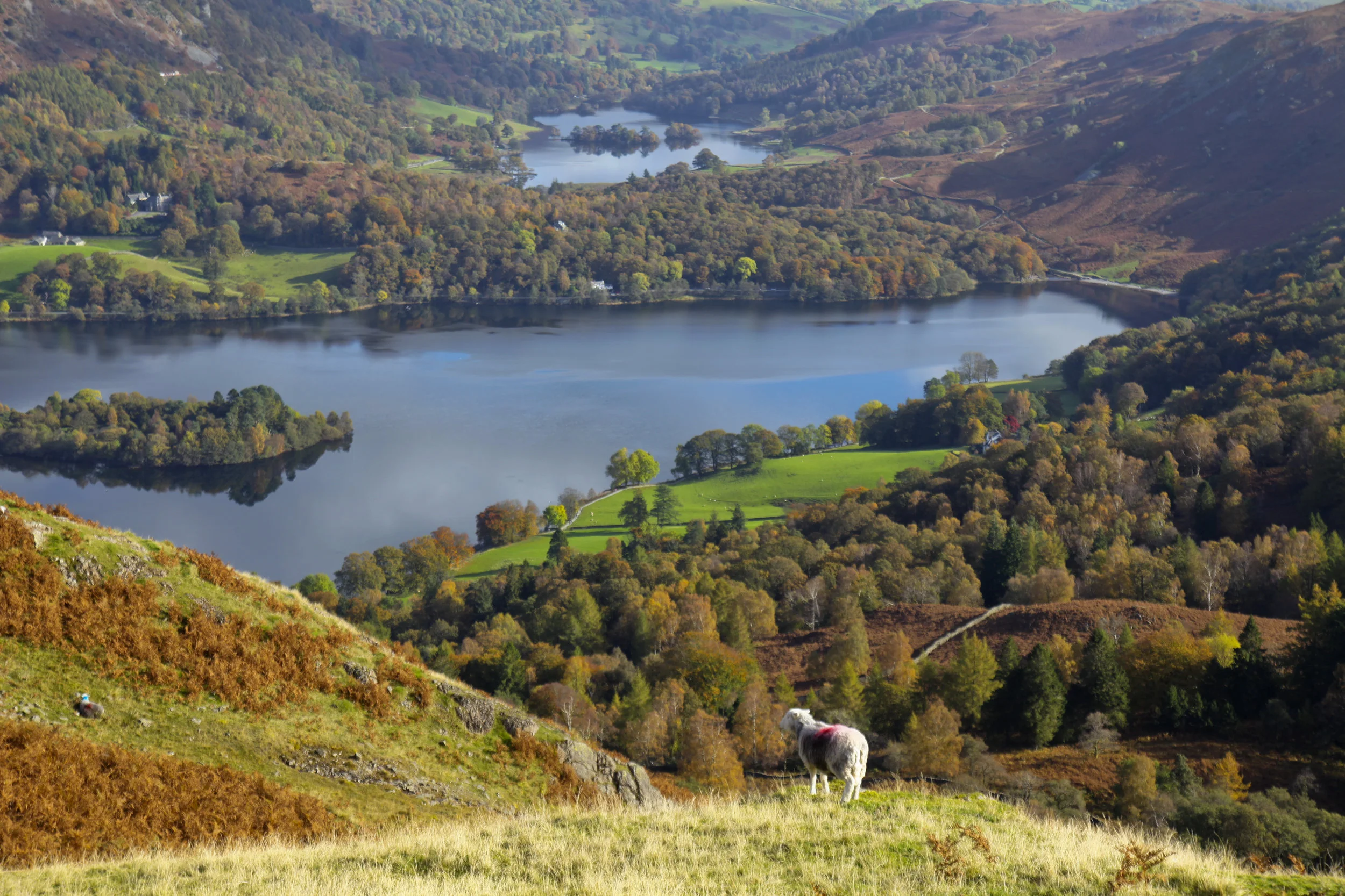 Grasmere 026.JPG