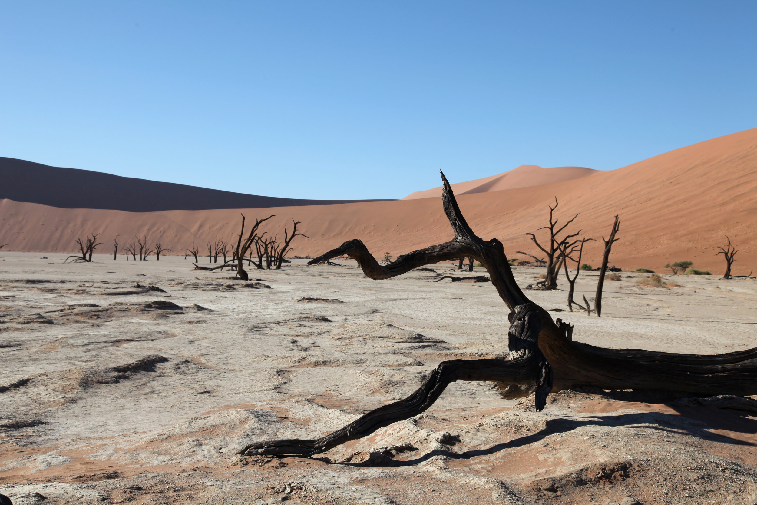 Namibia (115).JPG
