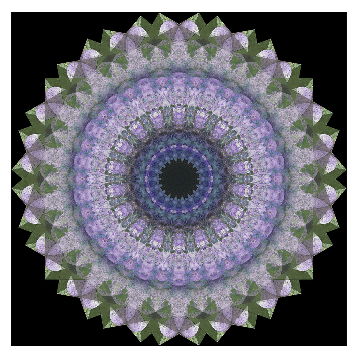 Mandala6.jpg