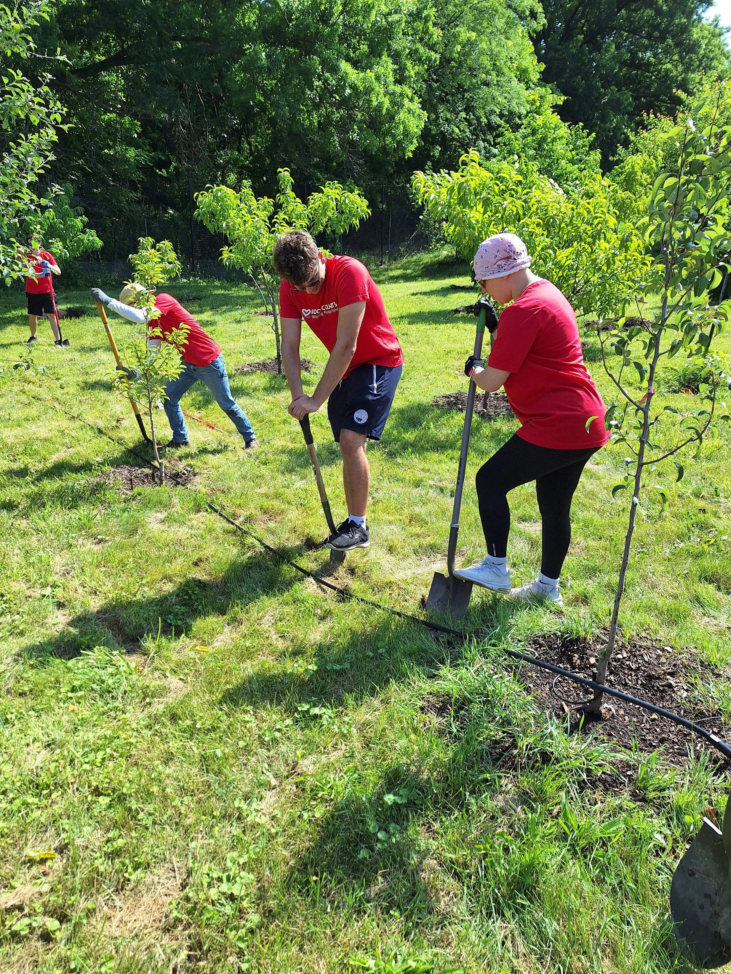 20250620_103432 (2).jpg