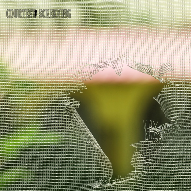 Screen Rebuilding: Restore Functionality and Style