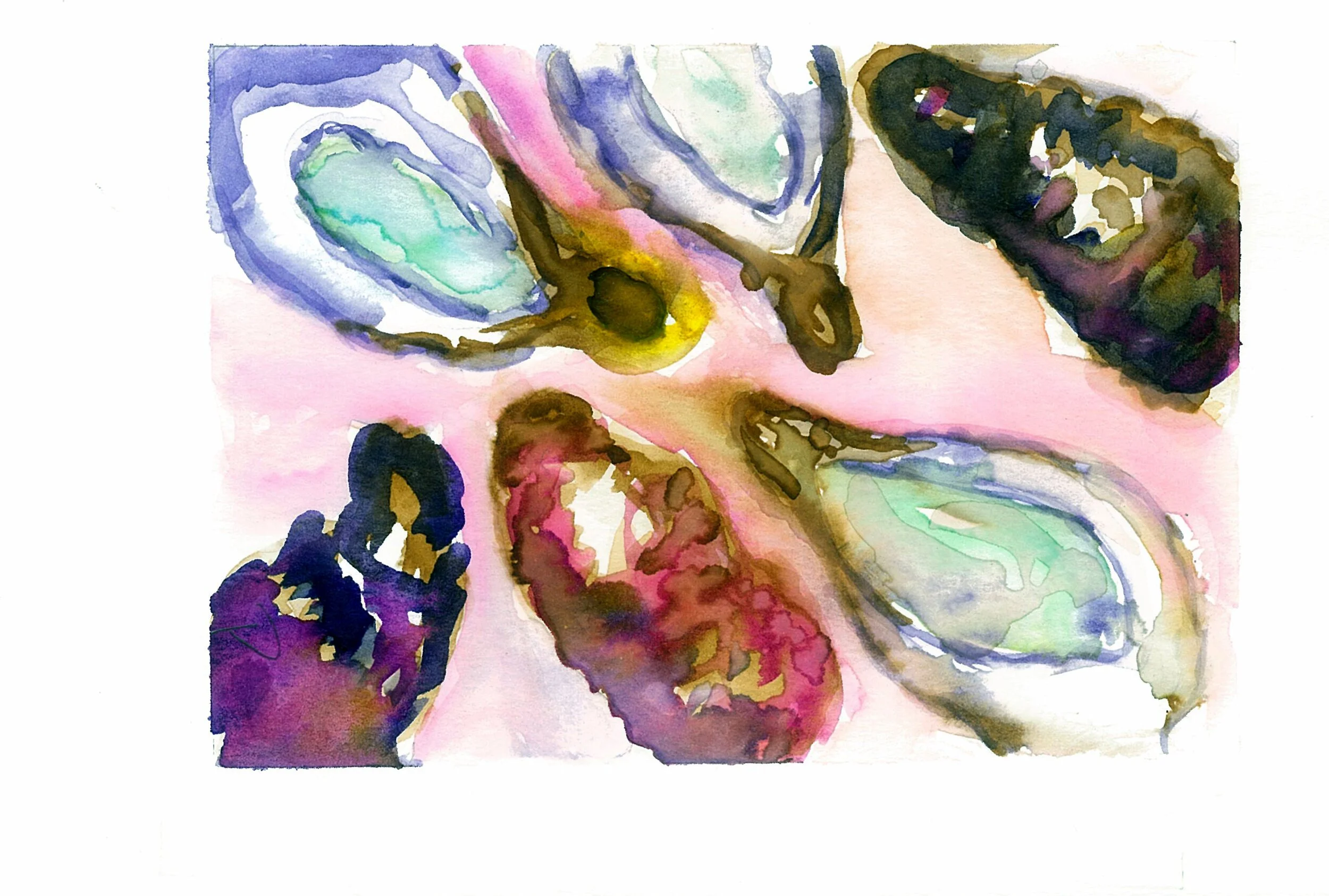 Print - Pink Oysters