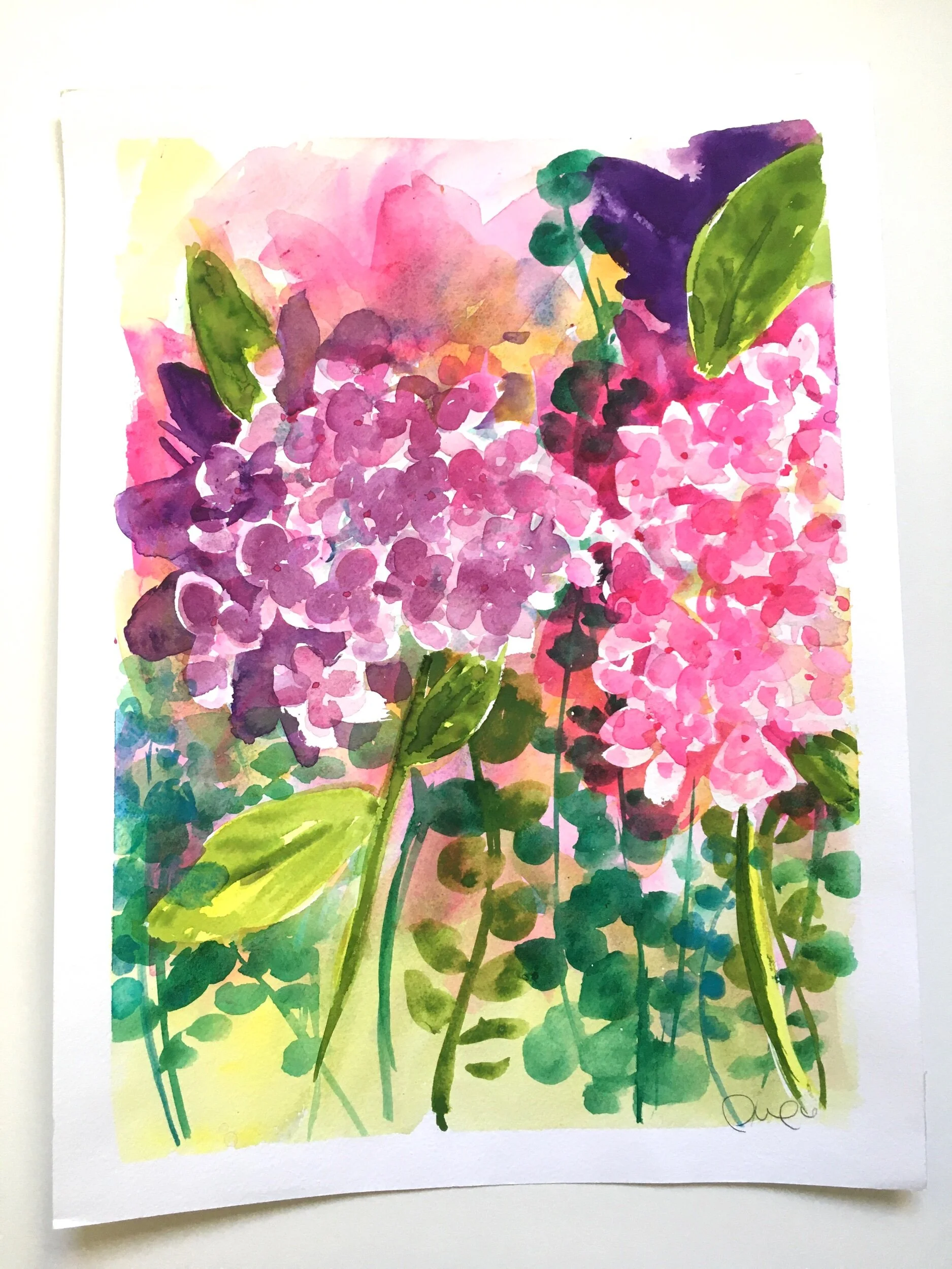 Hydrangeas in Cape May