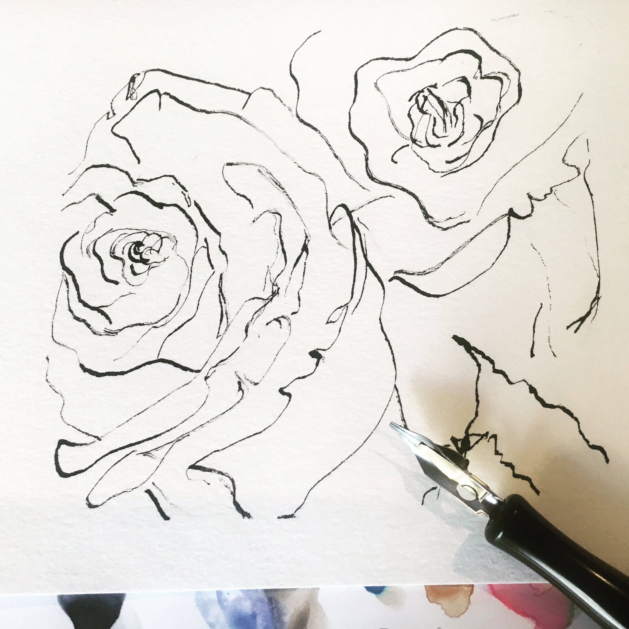 Hand dipped Black and White pen and ink Rose's