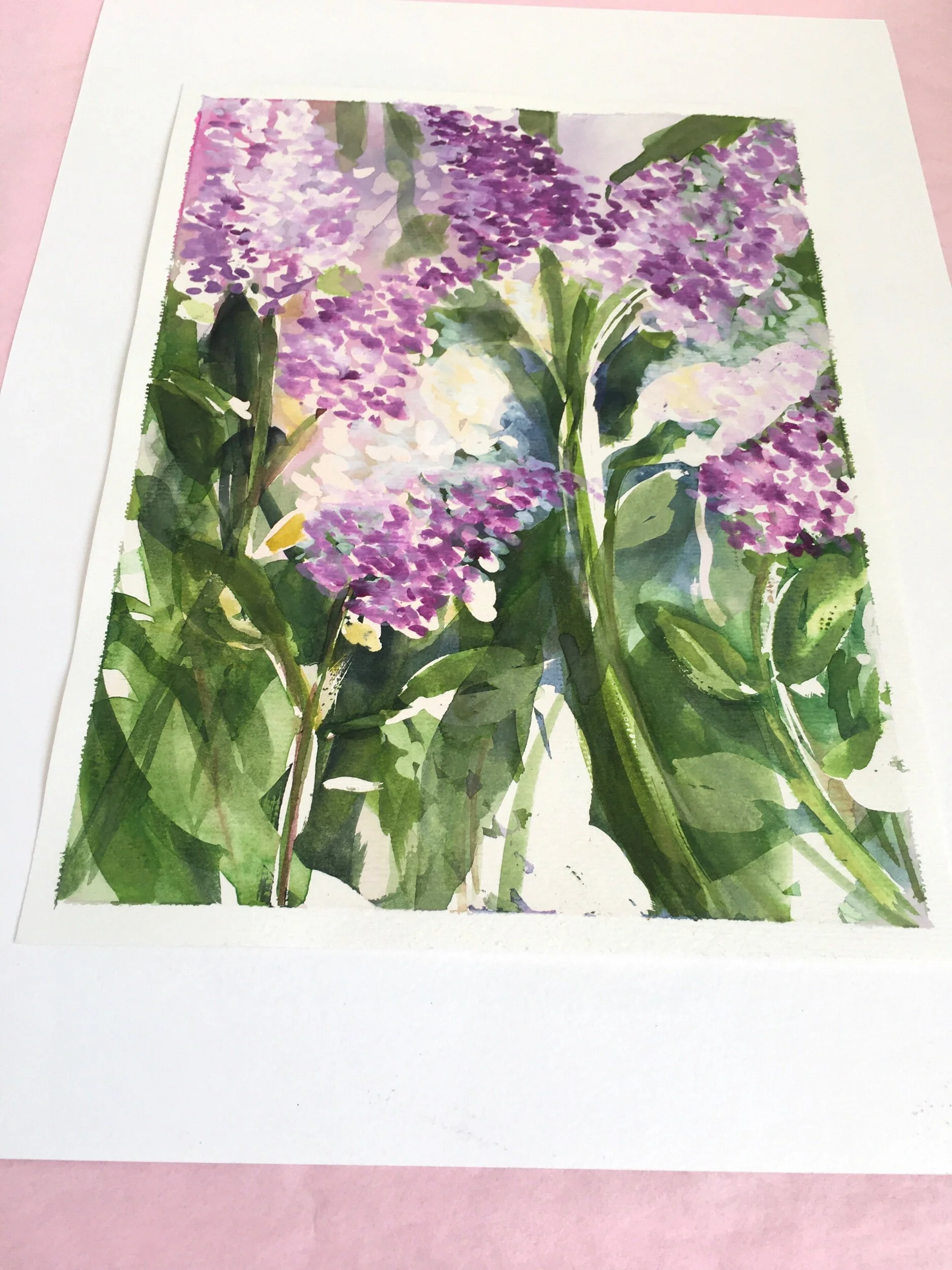 851482A5-3AC1-4F34-B22B-714F8FEC3639