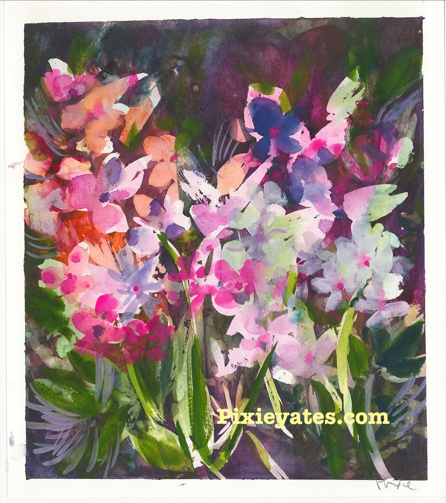 D052BF85-4FE1-400A-9FFA-E3FF1CED46DF