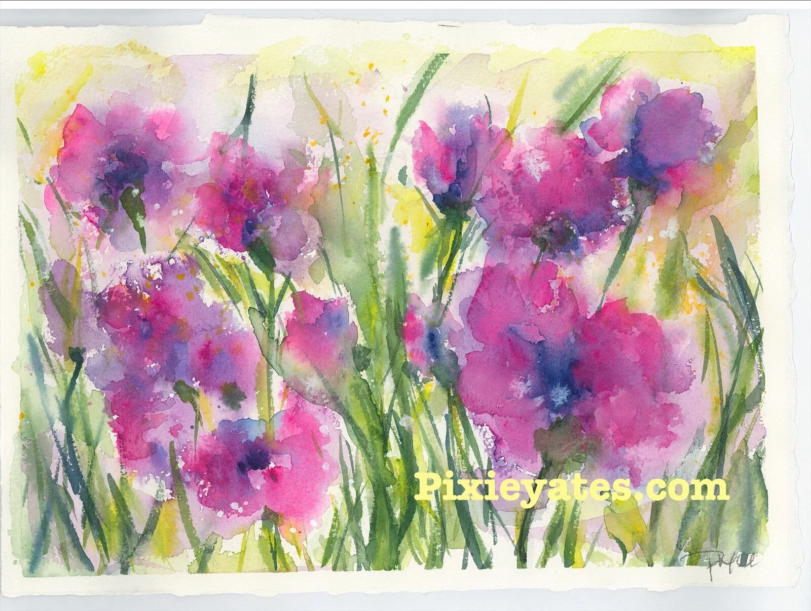 1E47F48F-124F-4D8B-8C25-A2549218DAD1