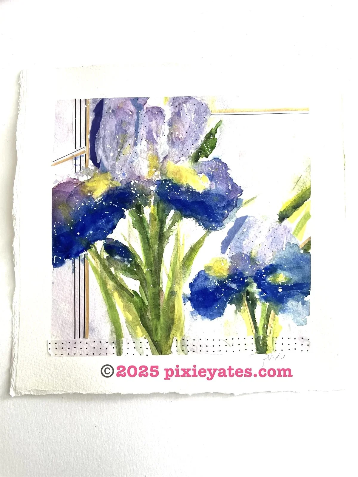 Spring 2025 Collection, Irises with collage
