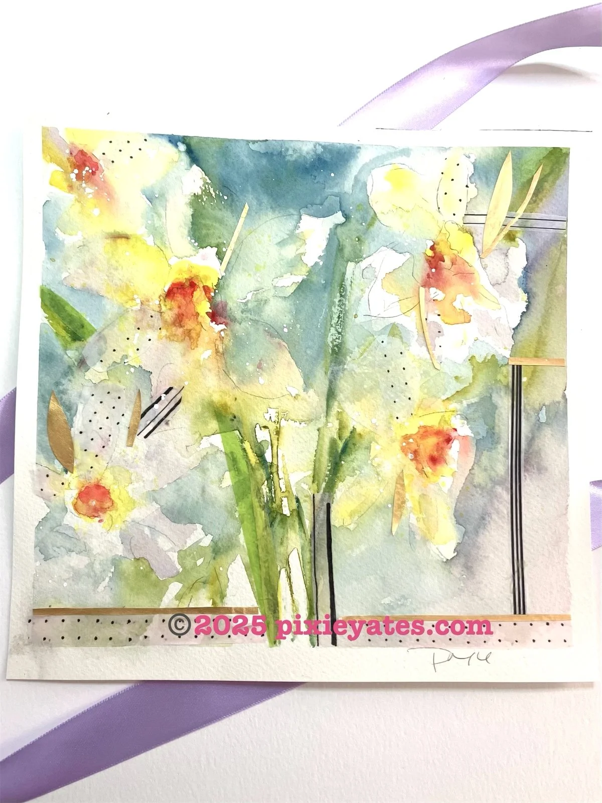 Spring 2025 Collection - Spring Daffodils and collage