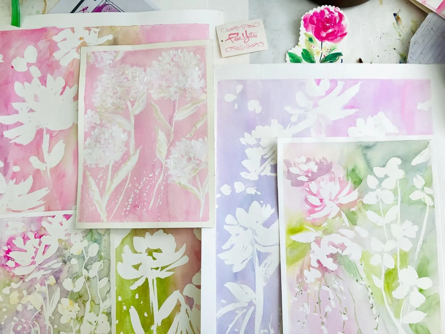 New England Morning sun casting botanical shapes in the snow.