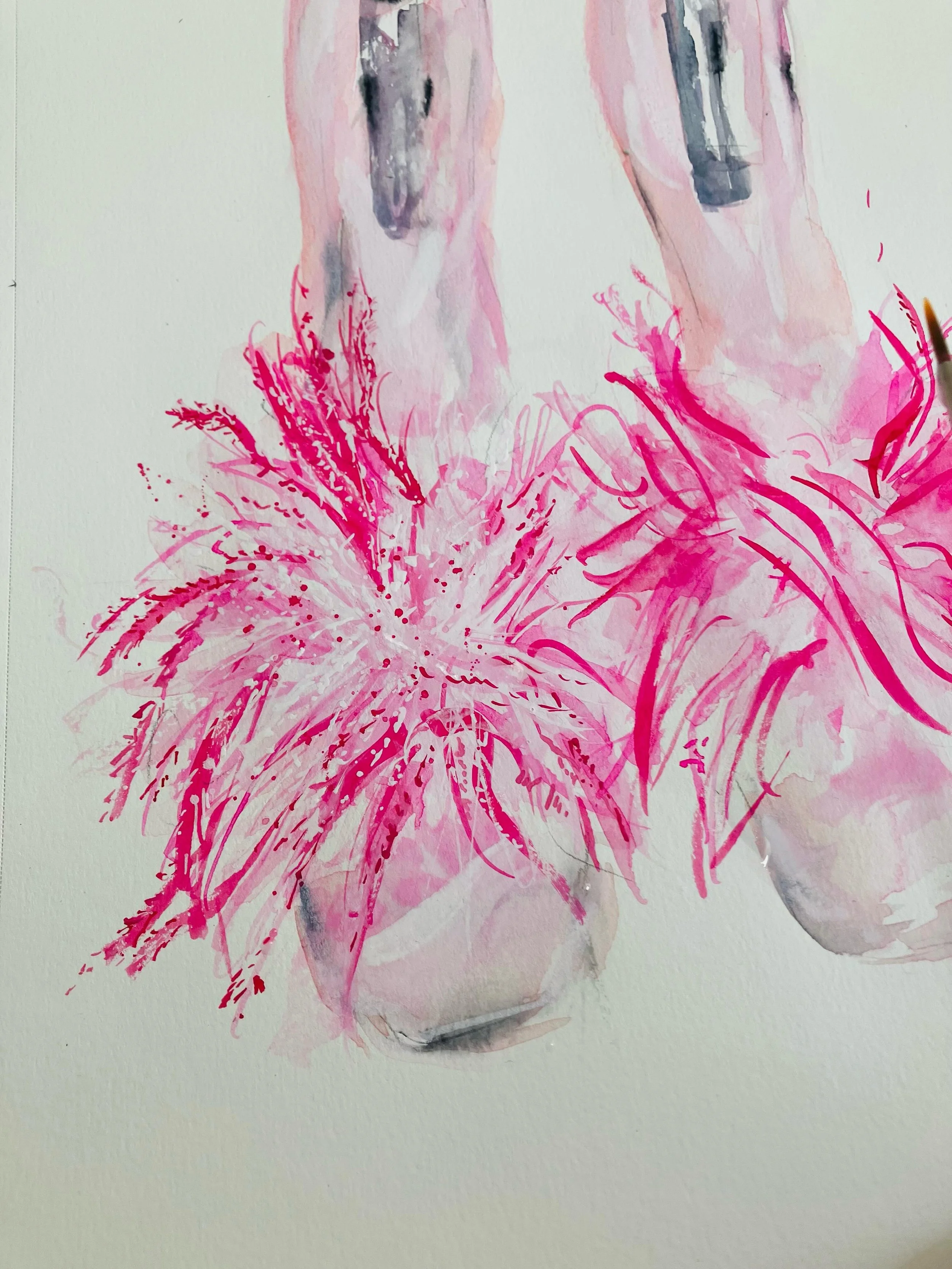 Show shoes