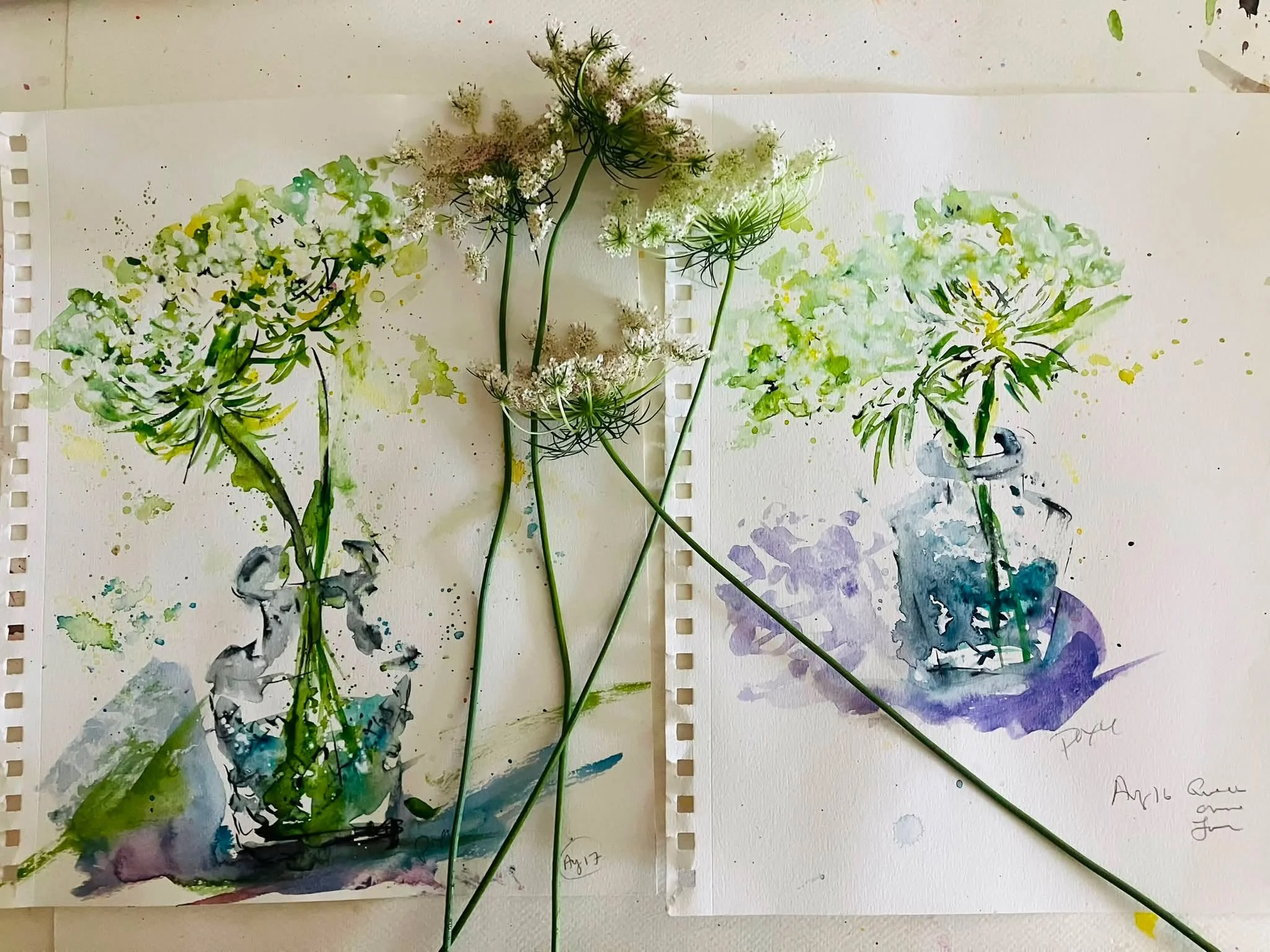 Fresh picked Queen Anne Lace