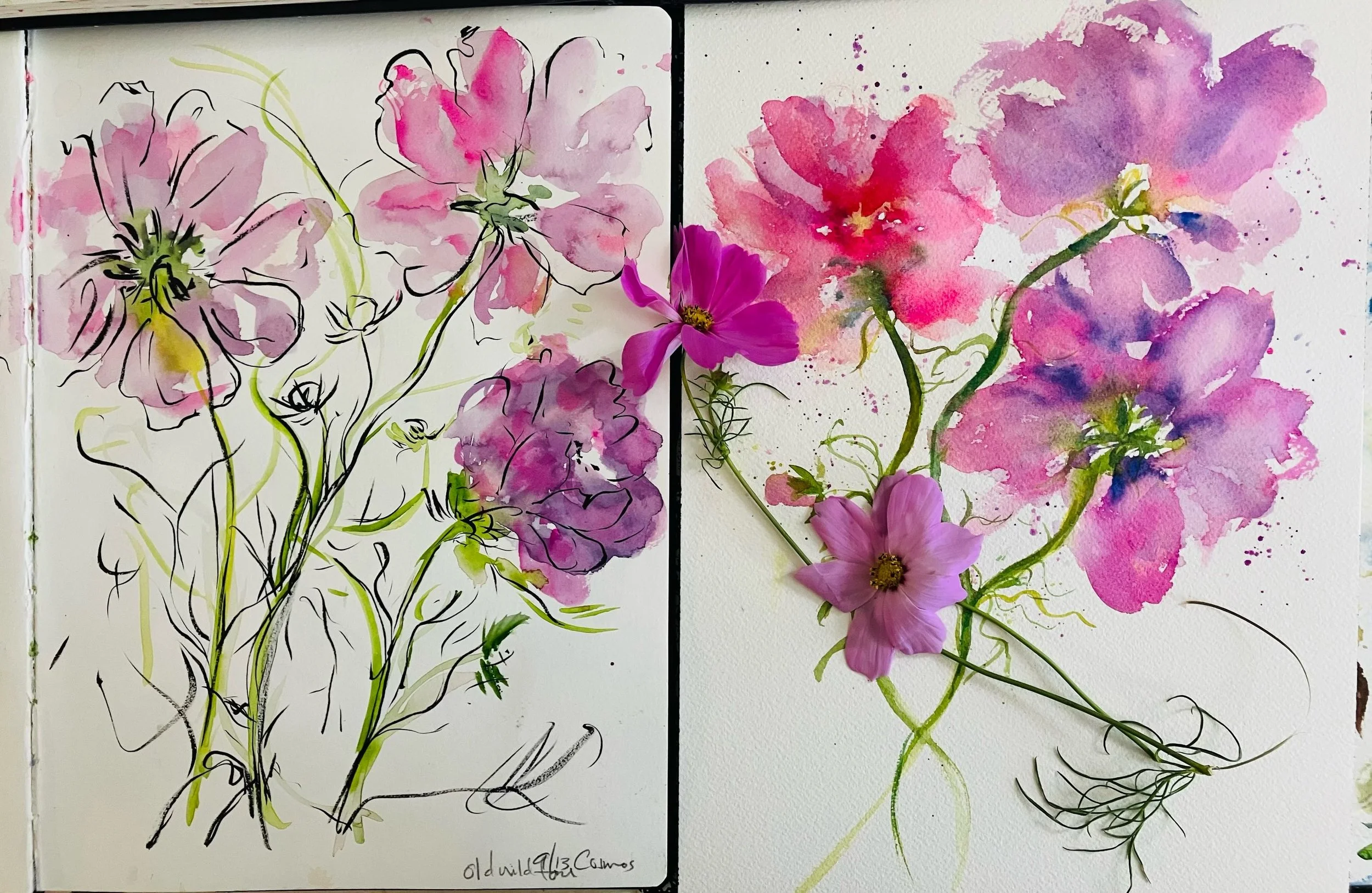 Today I&rsquo;m prepping for my Saturday workshop at @salisburypubliclibrary. Cosmos and hydrangeas.