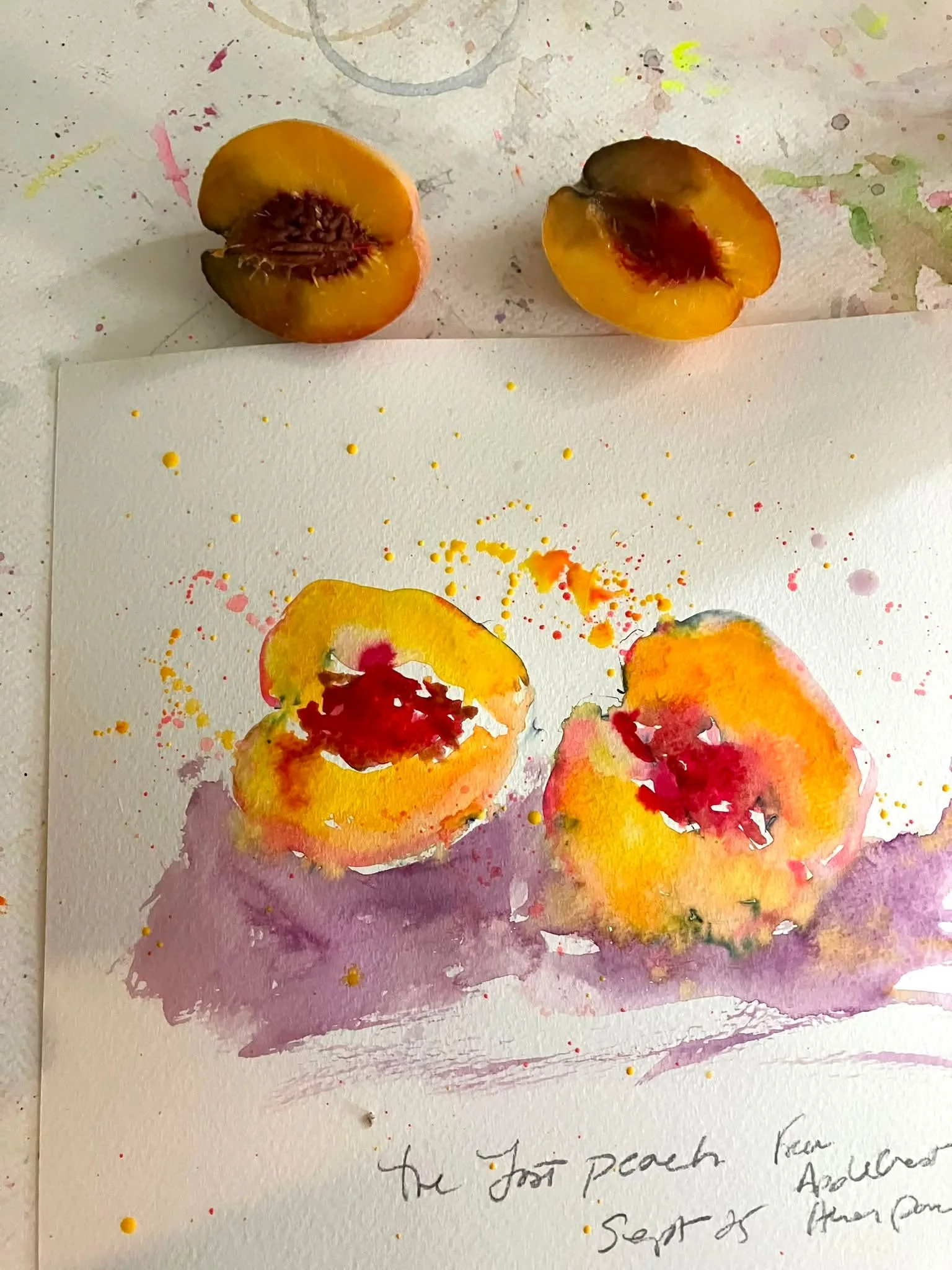 The last peach.  From Heron Pond Farm.