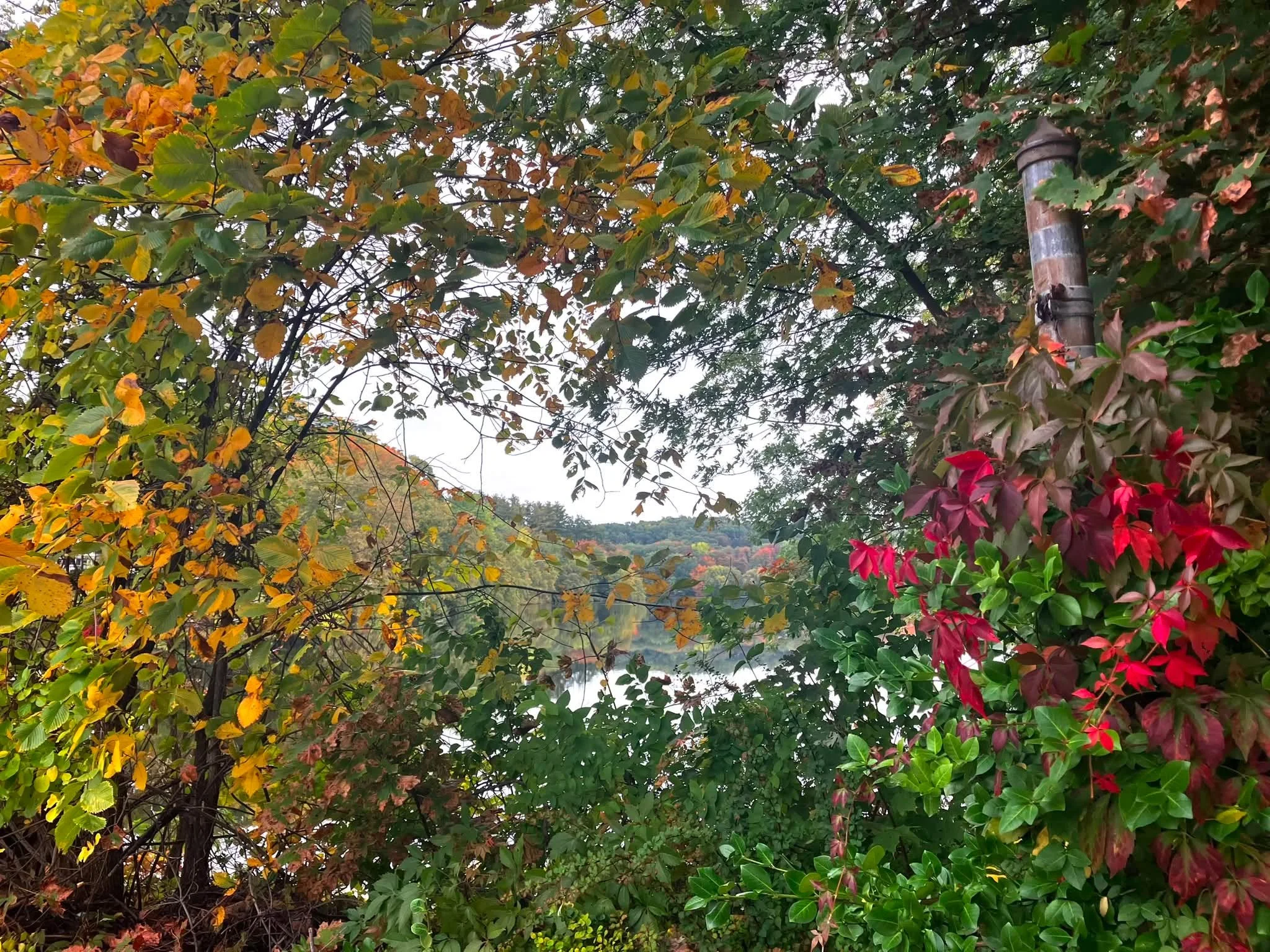 A view of the approaching new season. Morning walk around Lake Pentucket. I love this natures window and watching the seasons change.