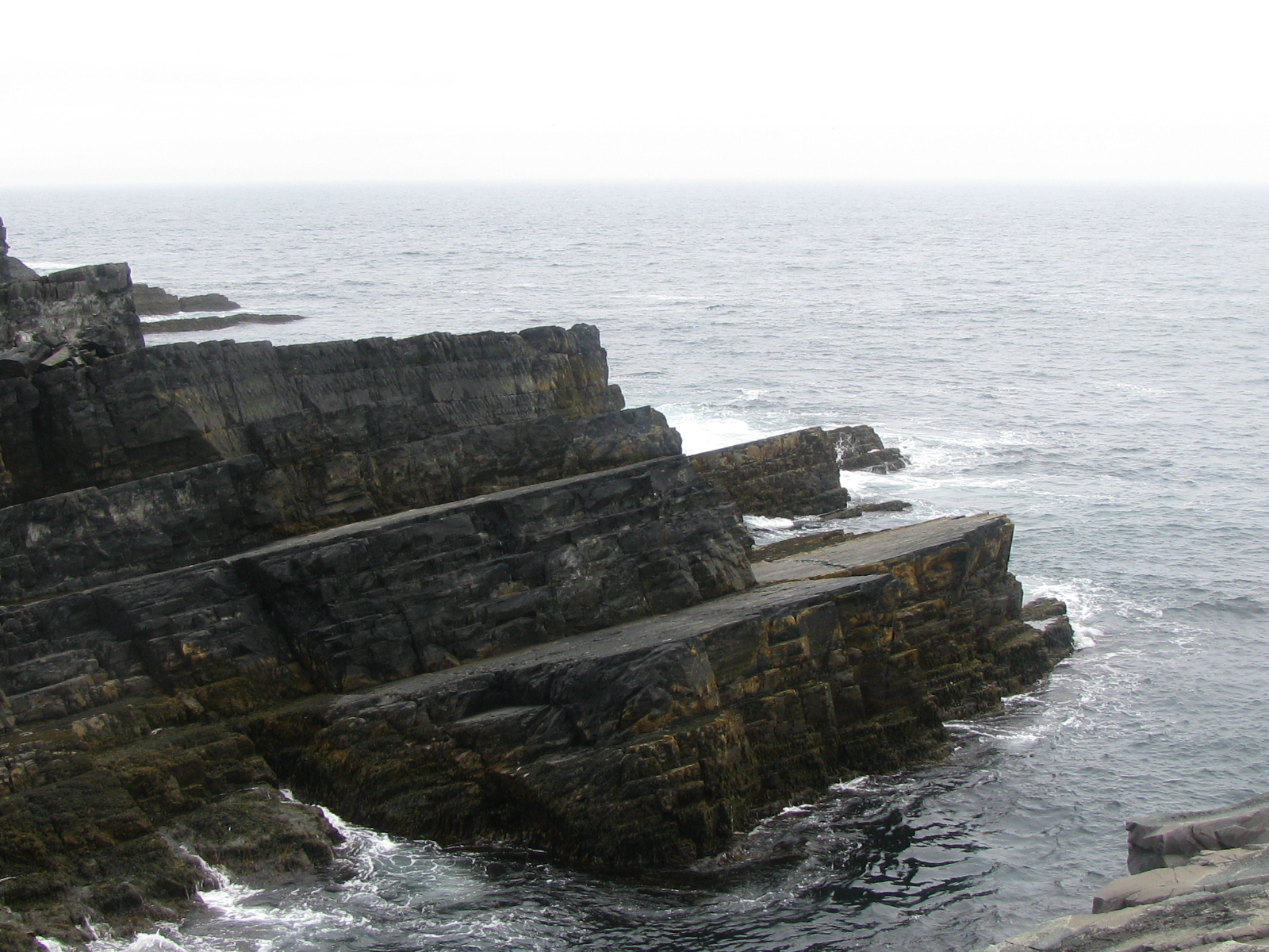 Mistaken Point, Canada